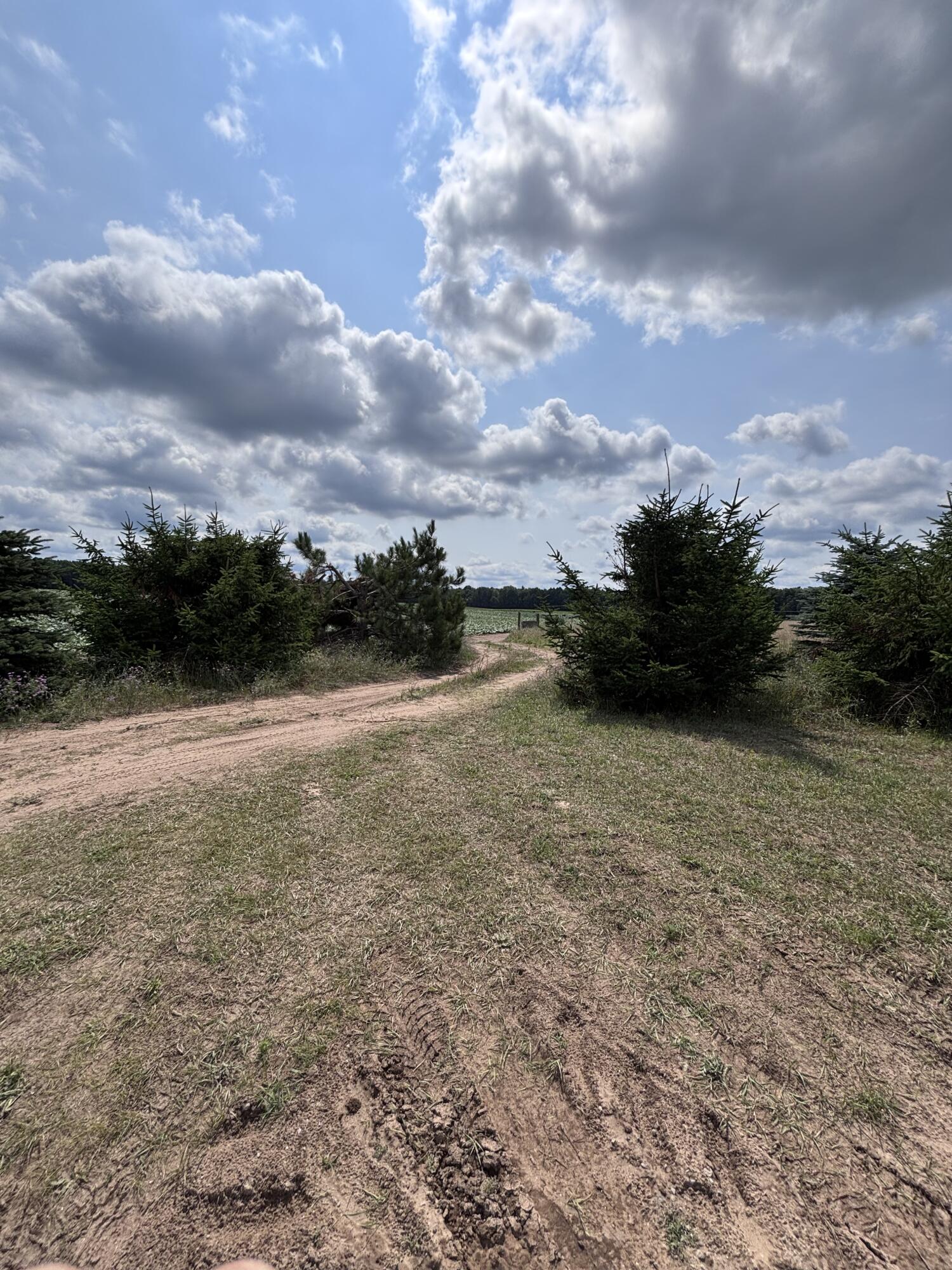 Johnson Road Property Photo 14