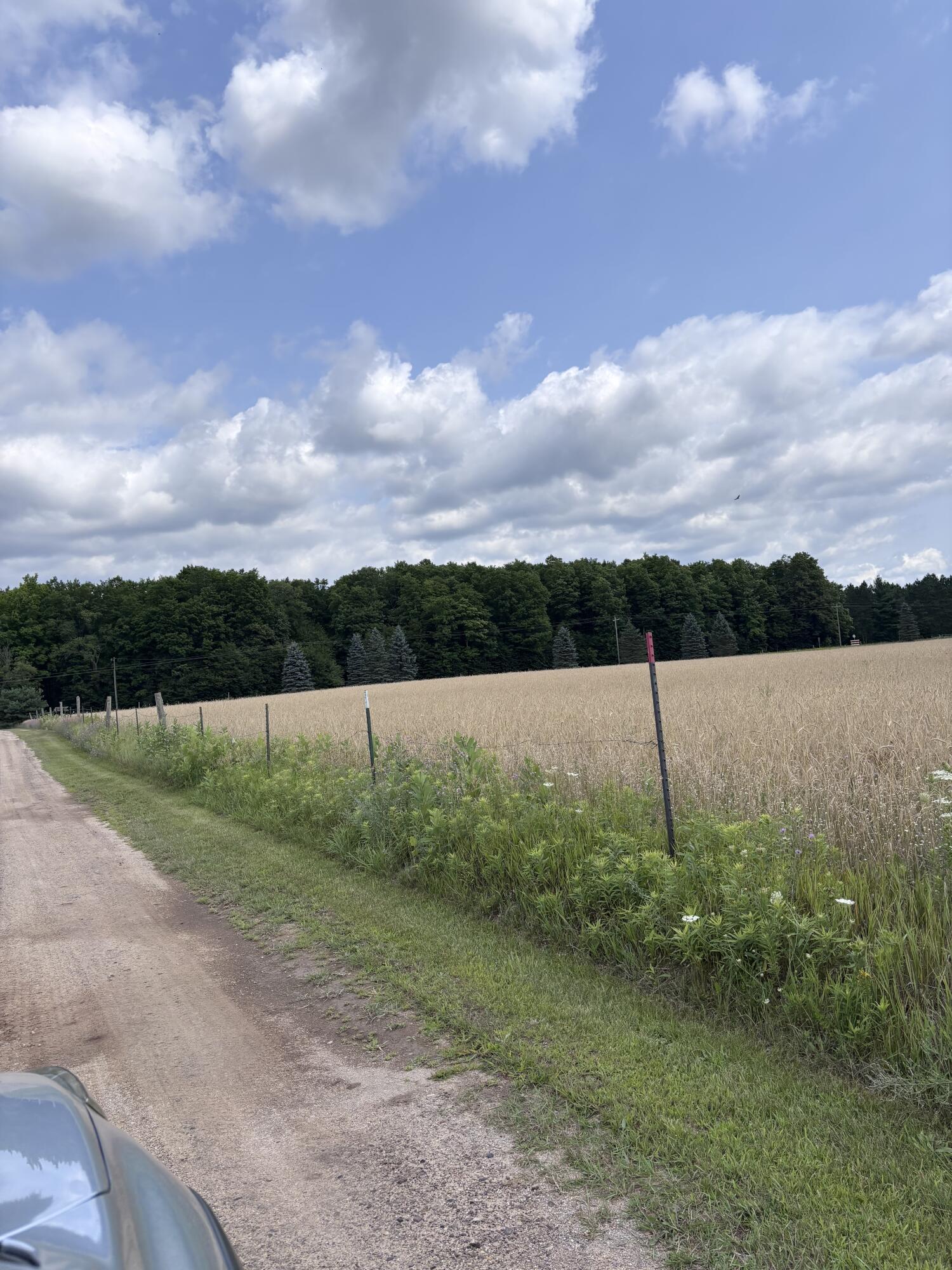 Johnson Road Property Photo 15