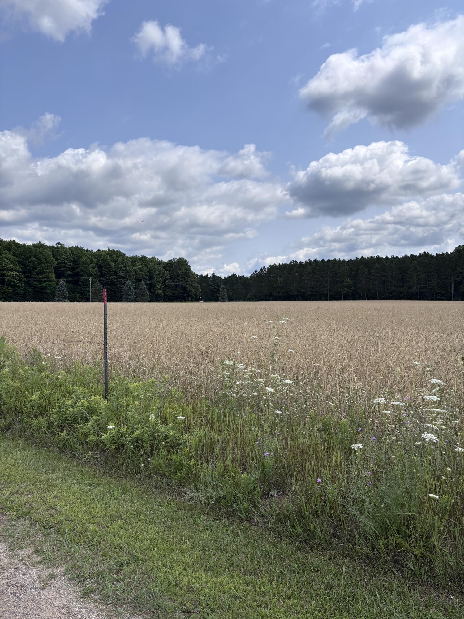 Johnson Road Property Photo 16