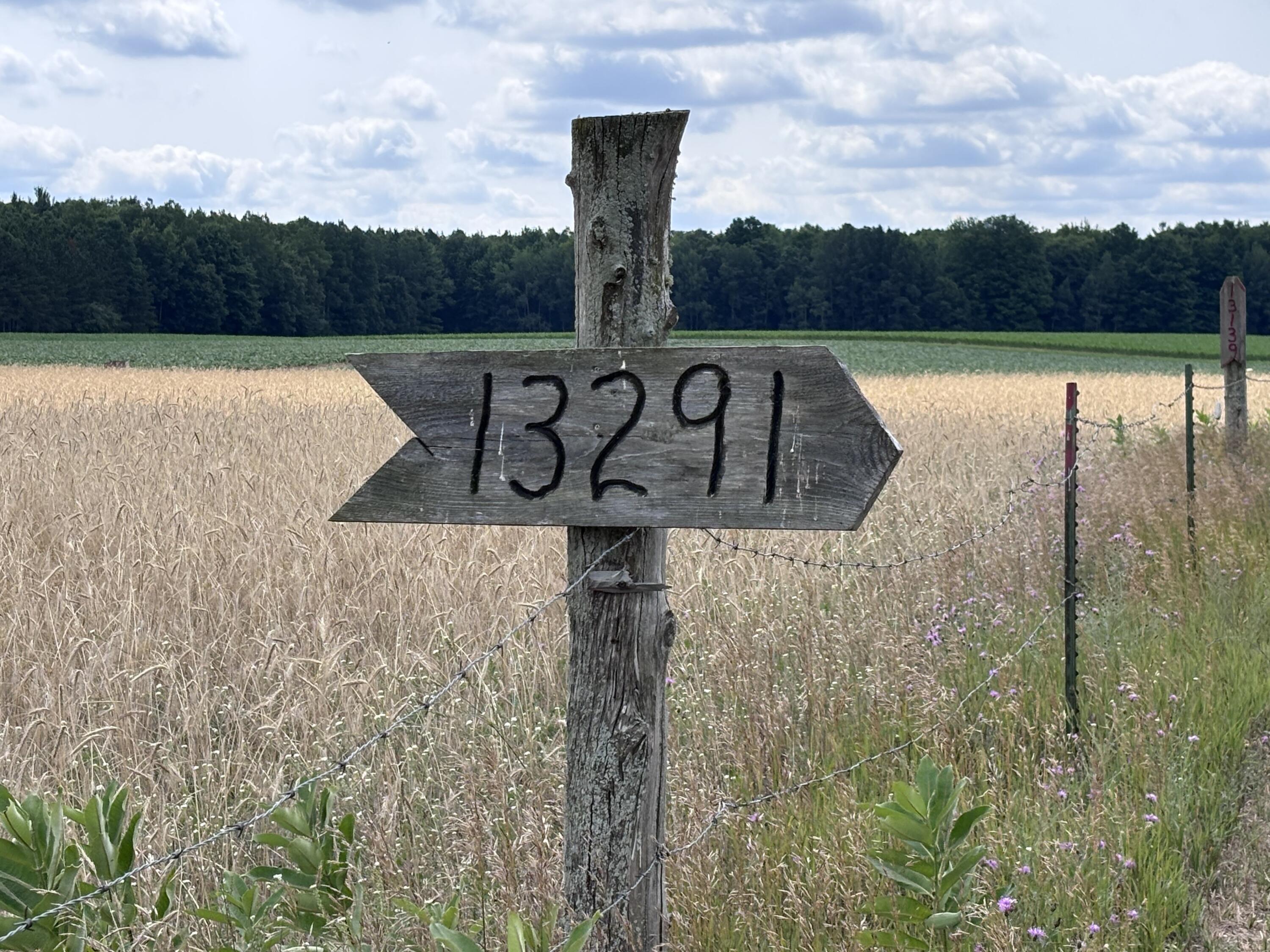 Johnson Road Property Photo 19
