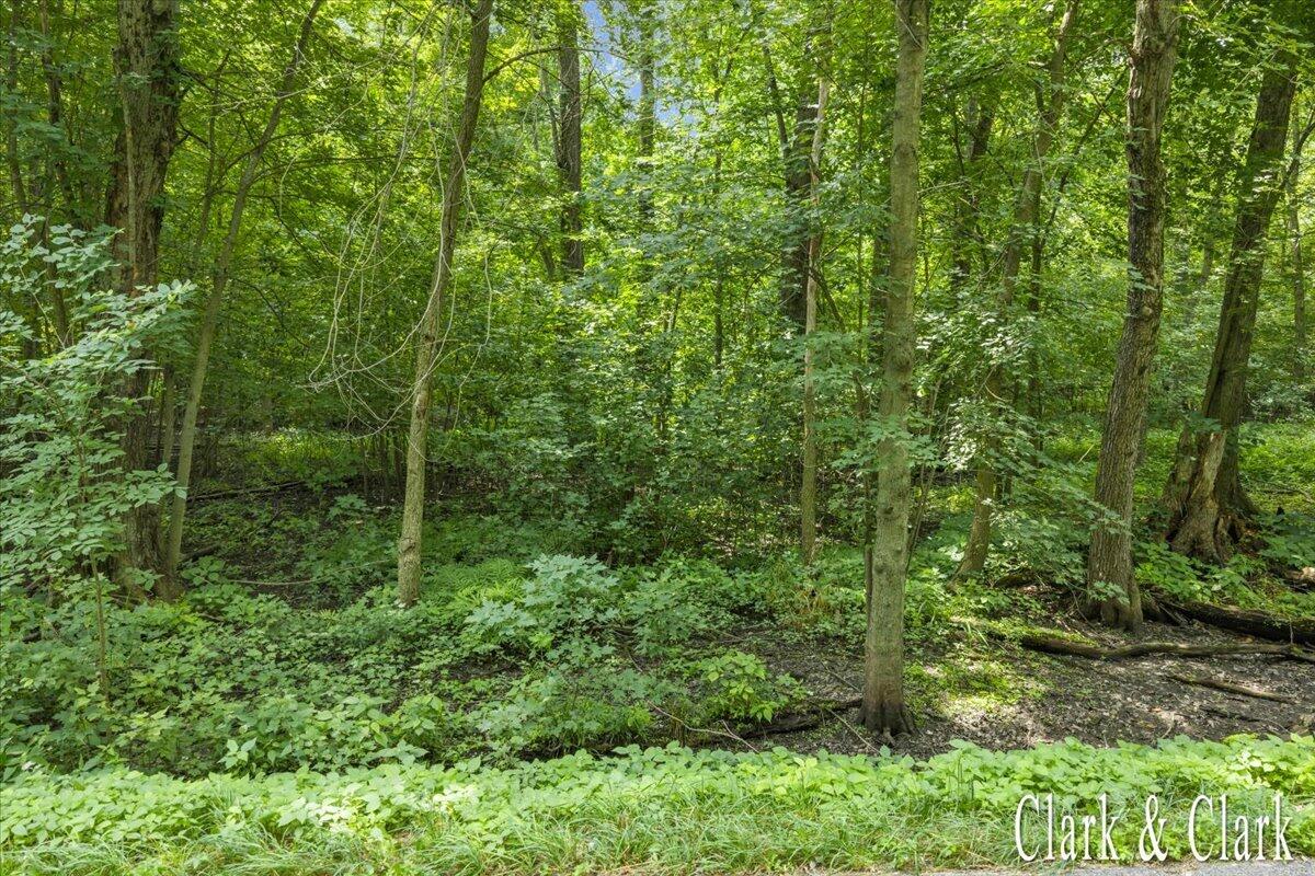 3582 Solon Street Ne Property Photo 6