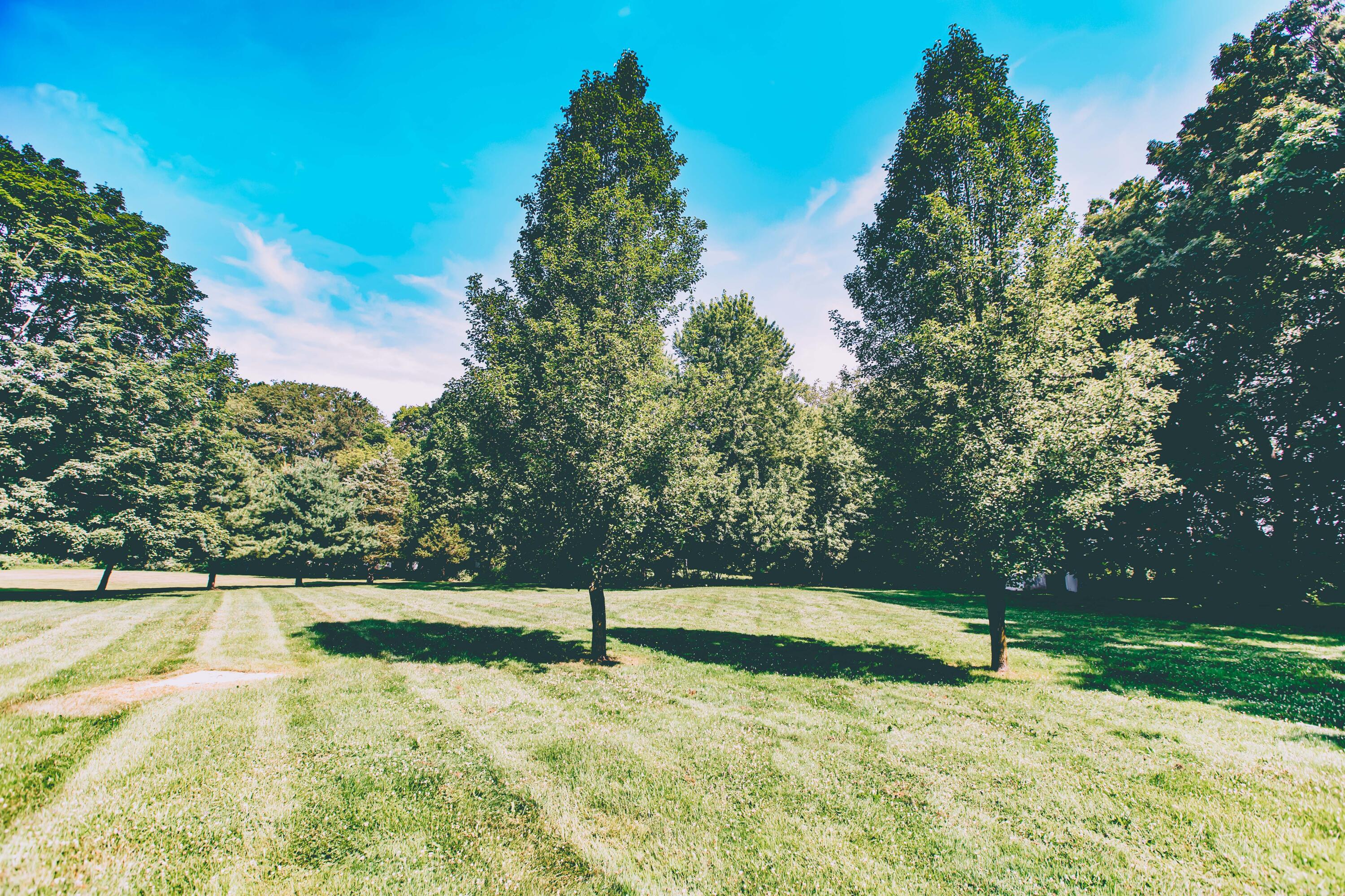 1072 E Territorial Road N Property Photo 6