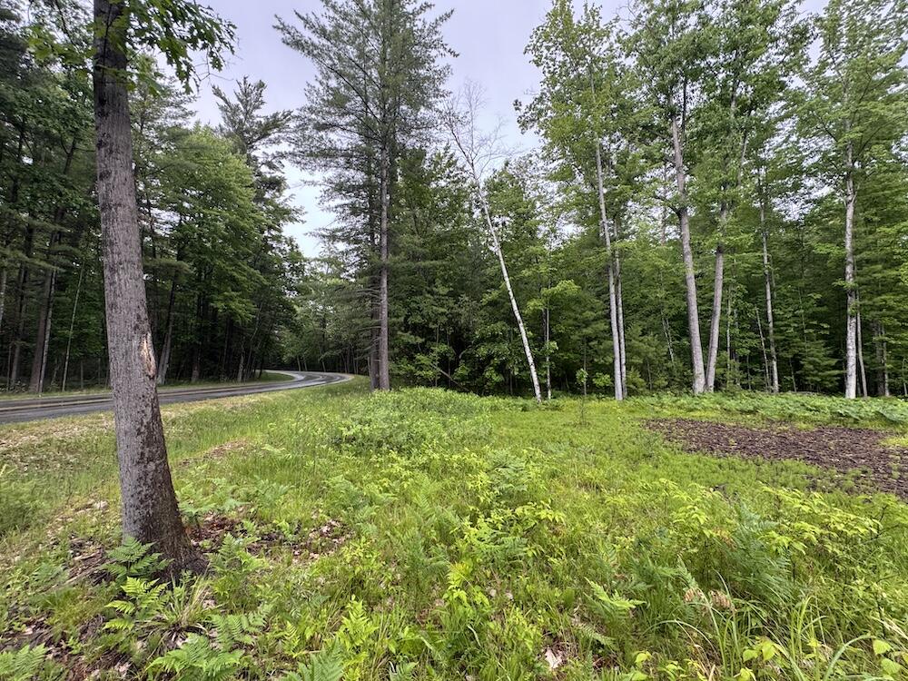 Pinecrest Drive Property Photo 1