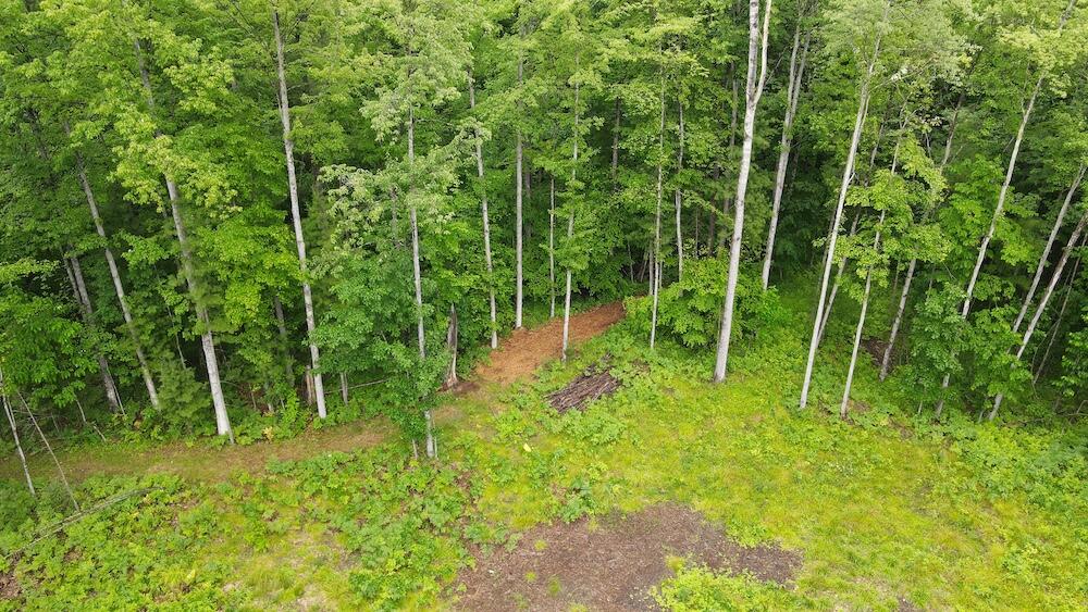 Pinecrest Drive Property Photo 9