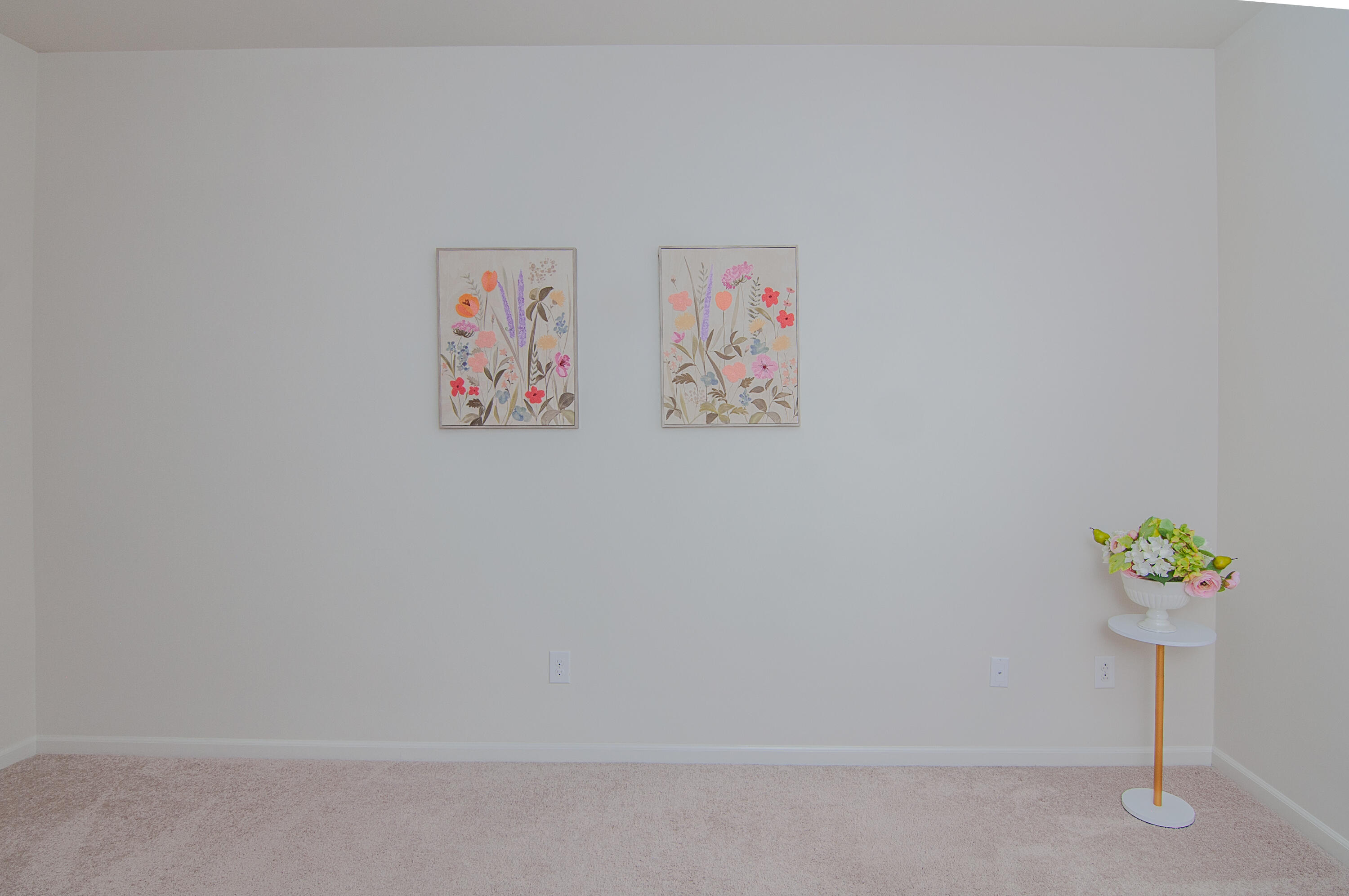 2888 Dillon Drive Property Photo 13