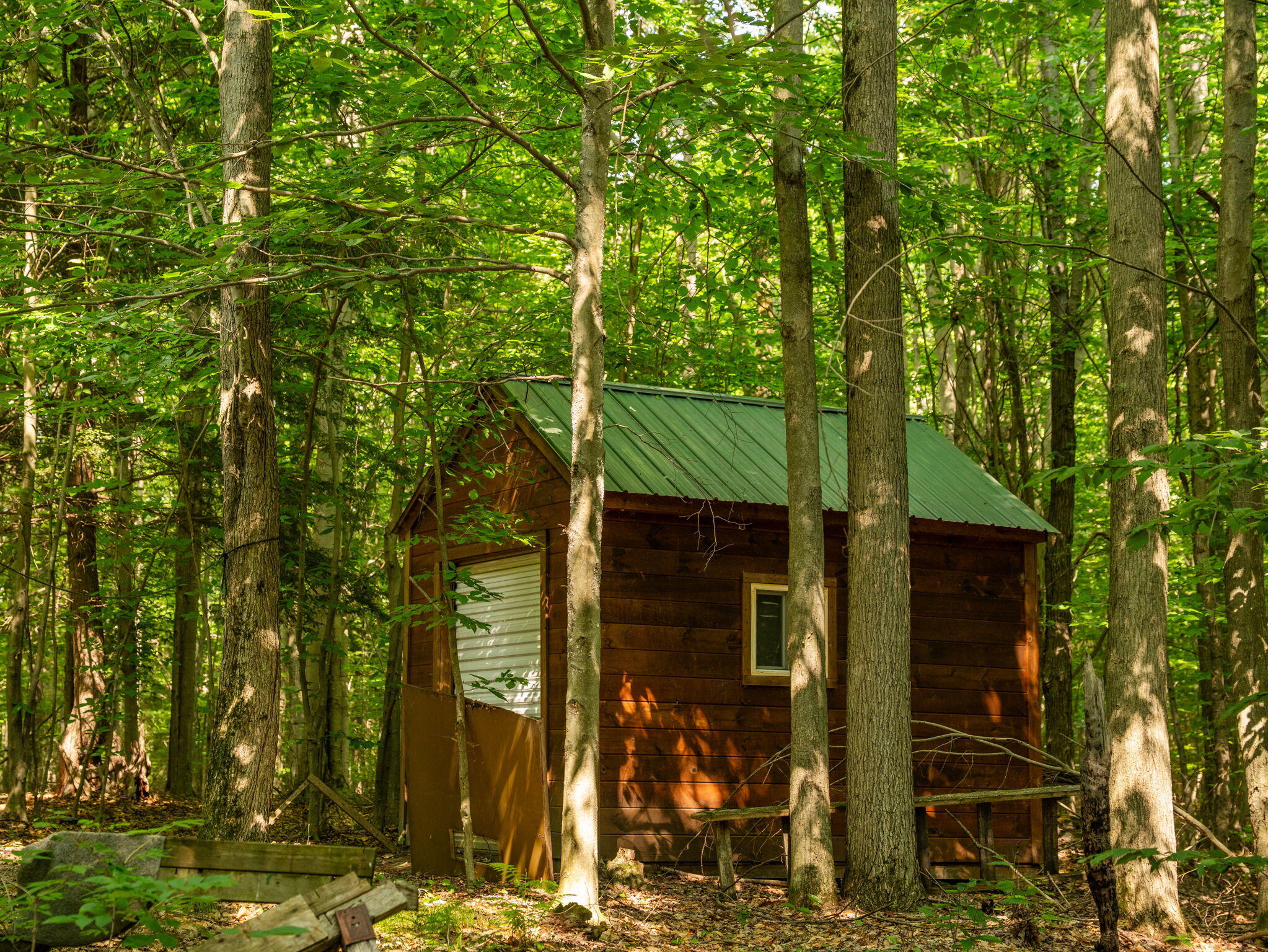 14739 9 Mile Road Property Photo 11