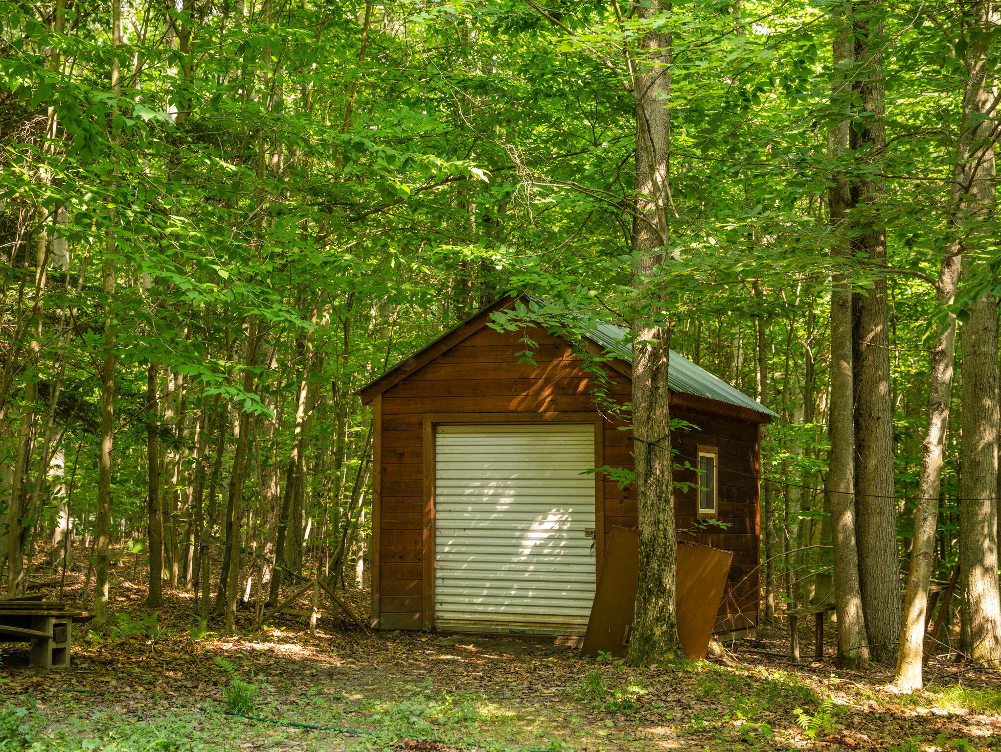 14739 9 Mile Road Property Photo 12