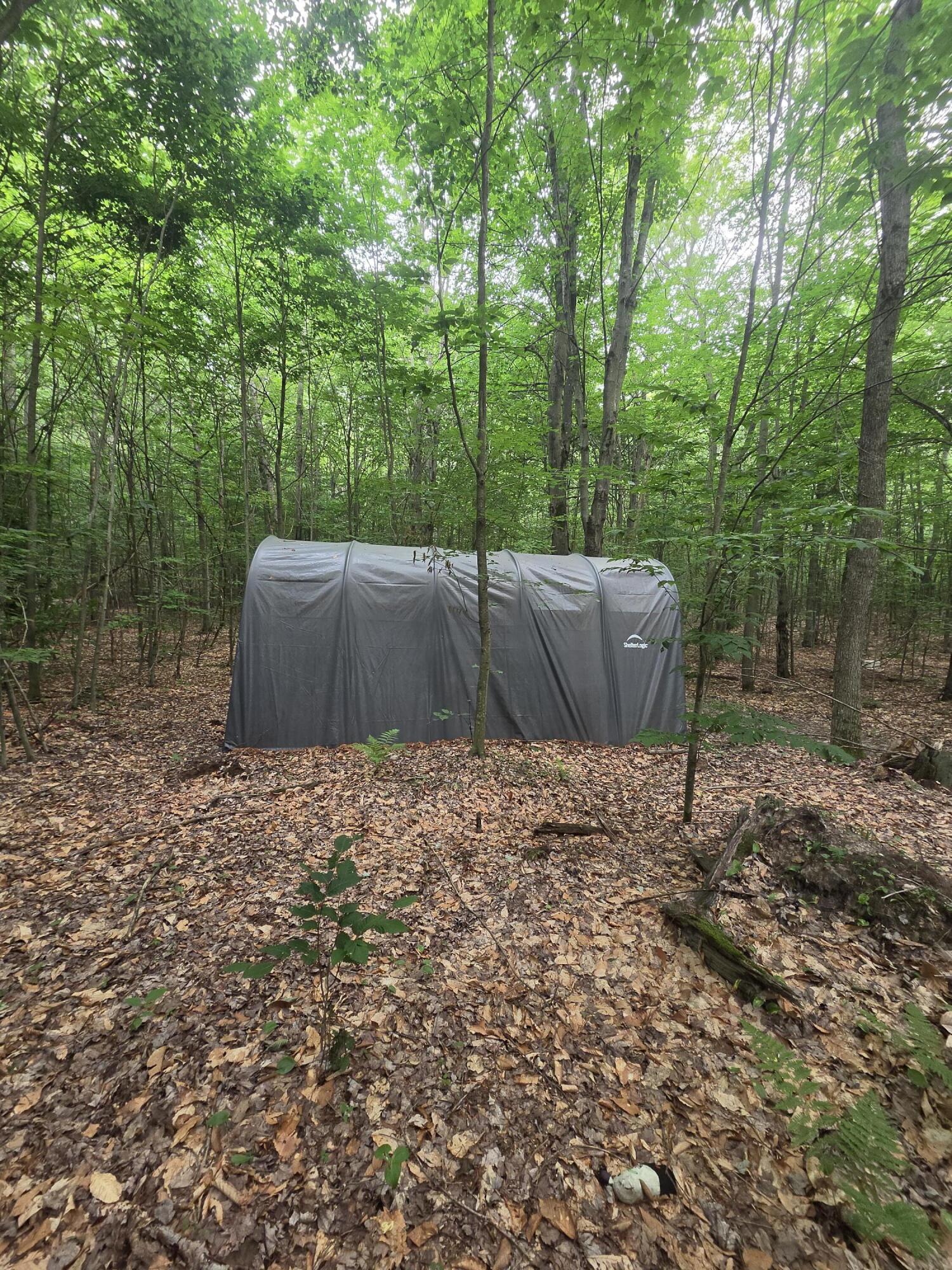 14739 9 Mile Road Property Photo 15