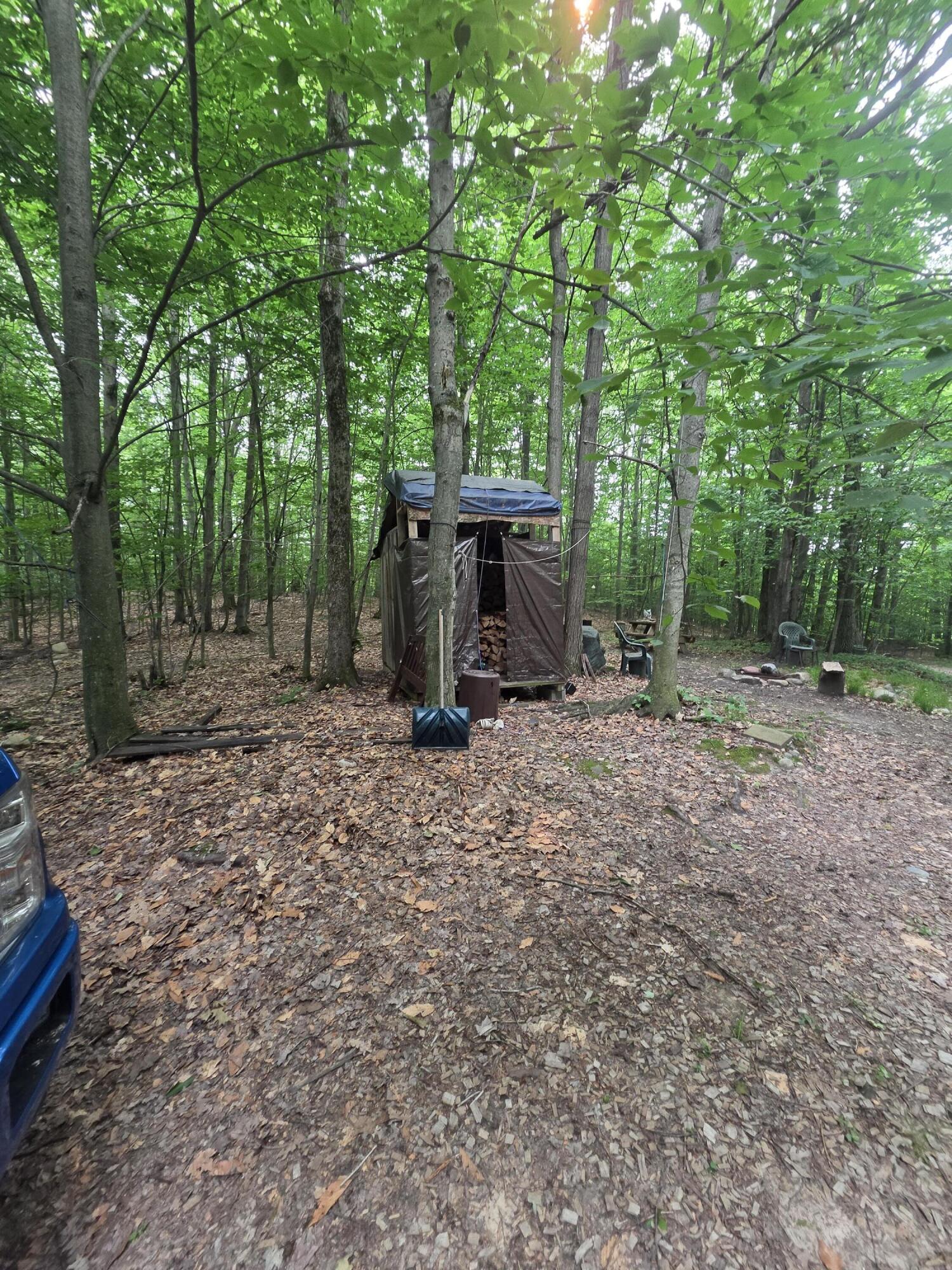 14739 9 Mile Road Property Photo 19