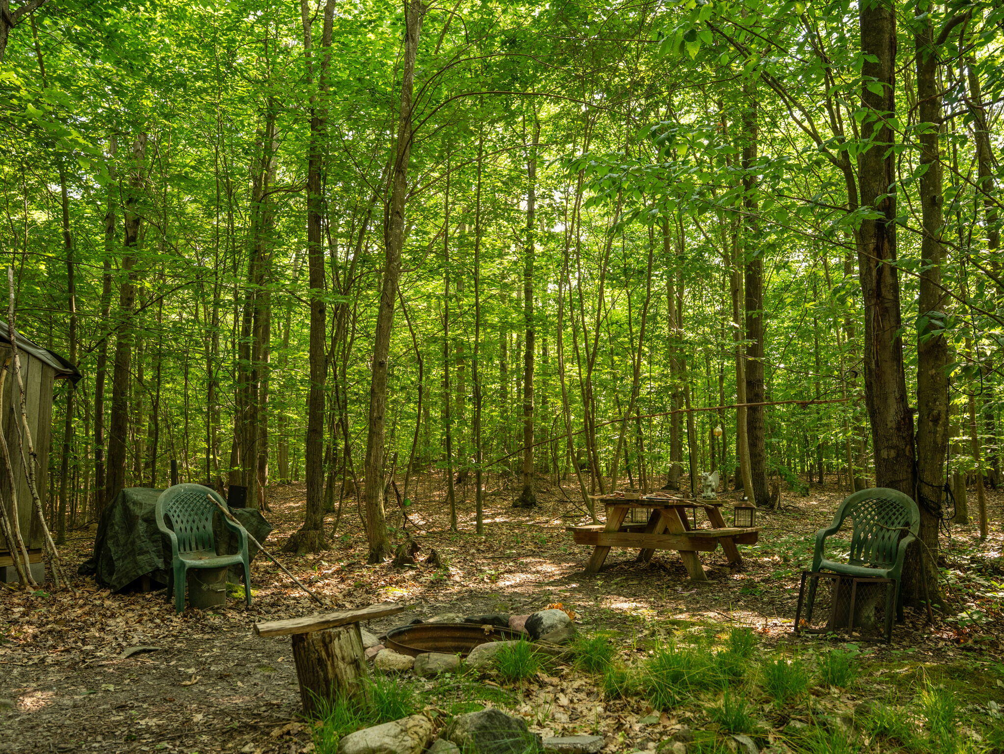 14739 9 Mile Road Property Photo 21