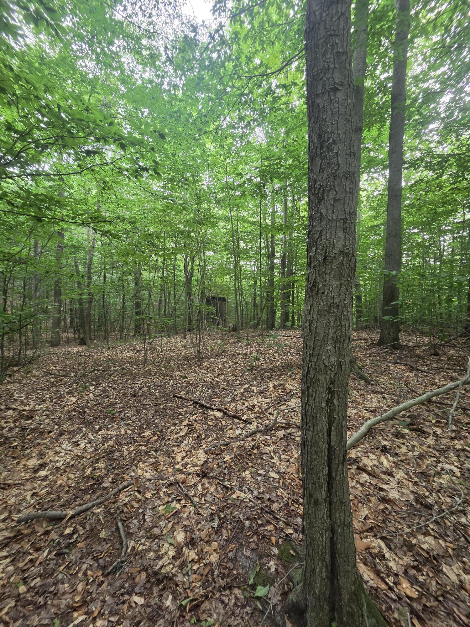 14739 9 Mile Road Property Photo 29