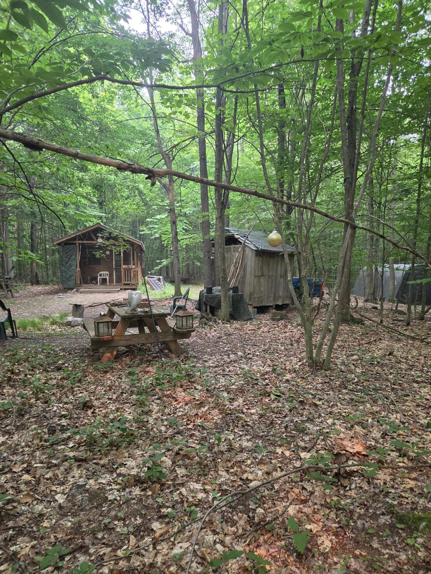 14739 9 Mile Road Property Photo 35