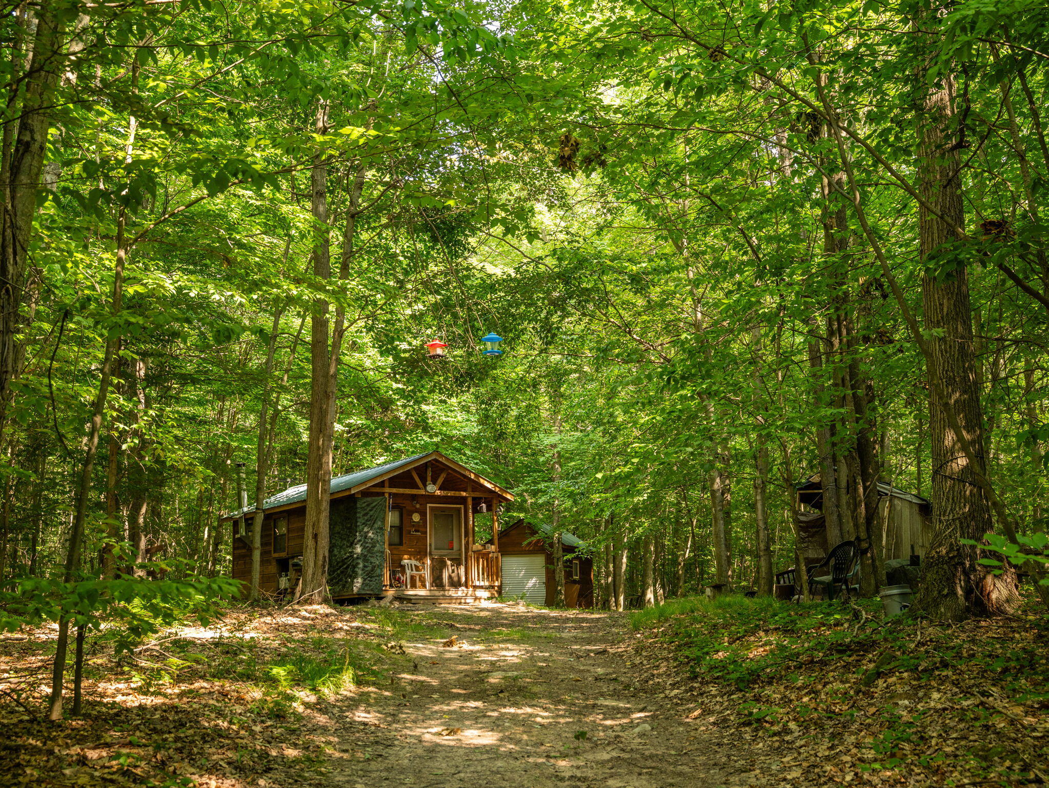 14739 9 Mile Road Property Photo 36