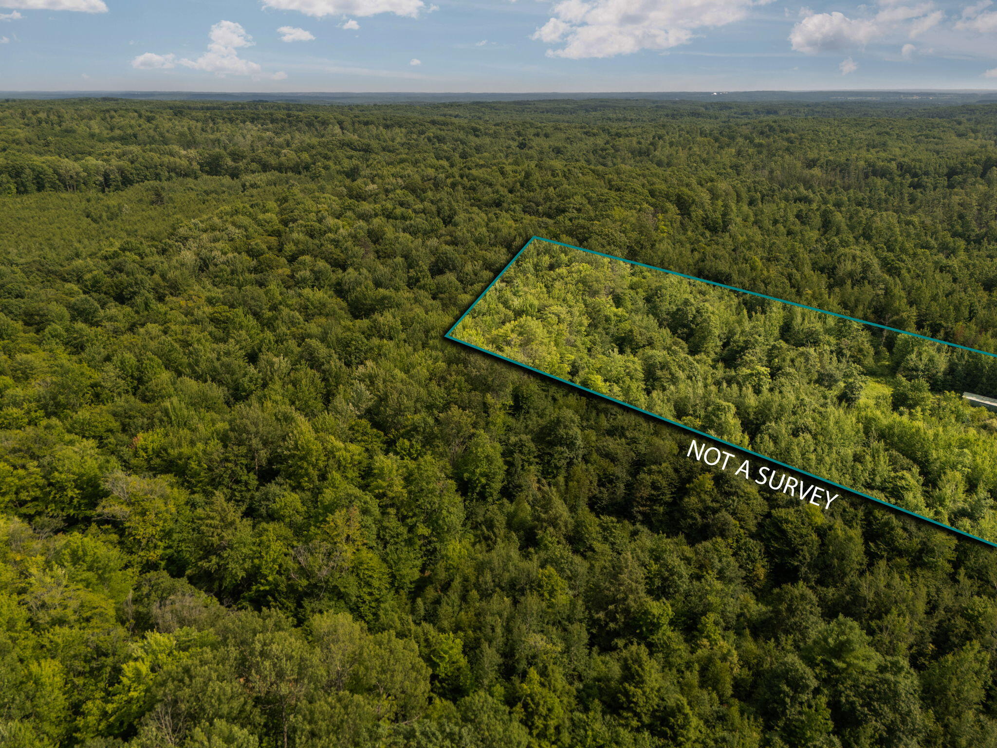 14739 9 Mile Road Property Photo 41