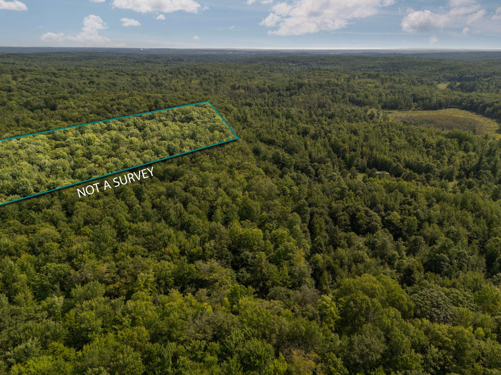 14739 9 Mile Road Property Photo 42
