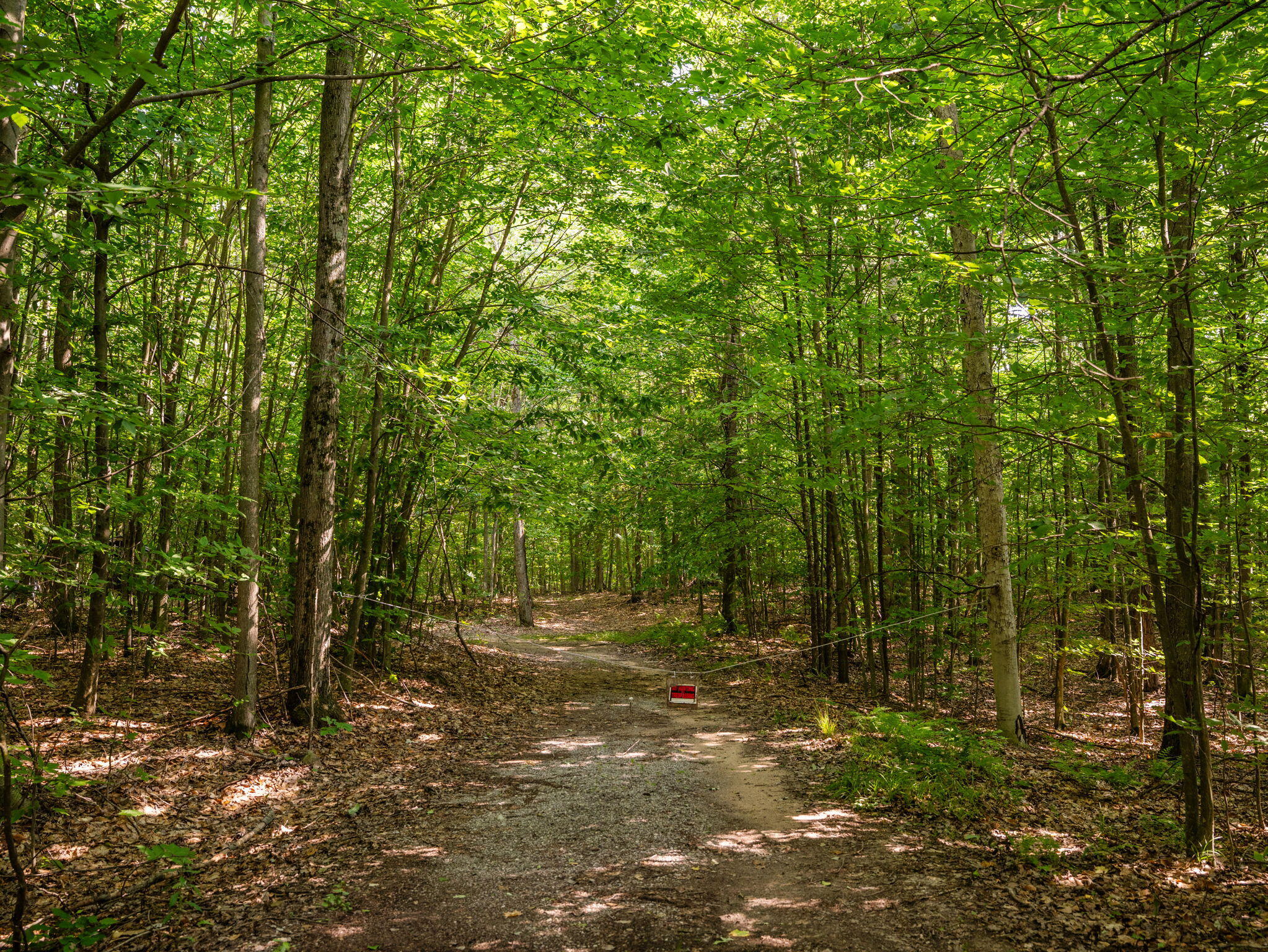 14739 9 Mile Road Property Photo 46