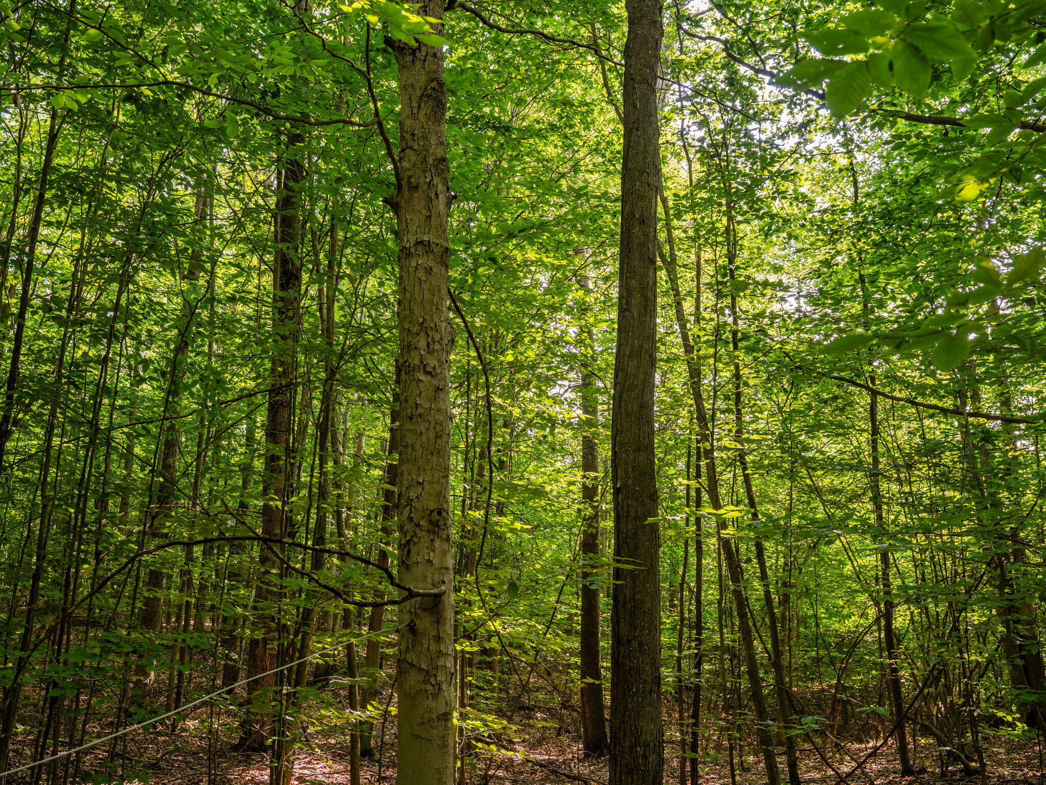 14739 9 Mile Road Property Photo 47