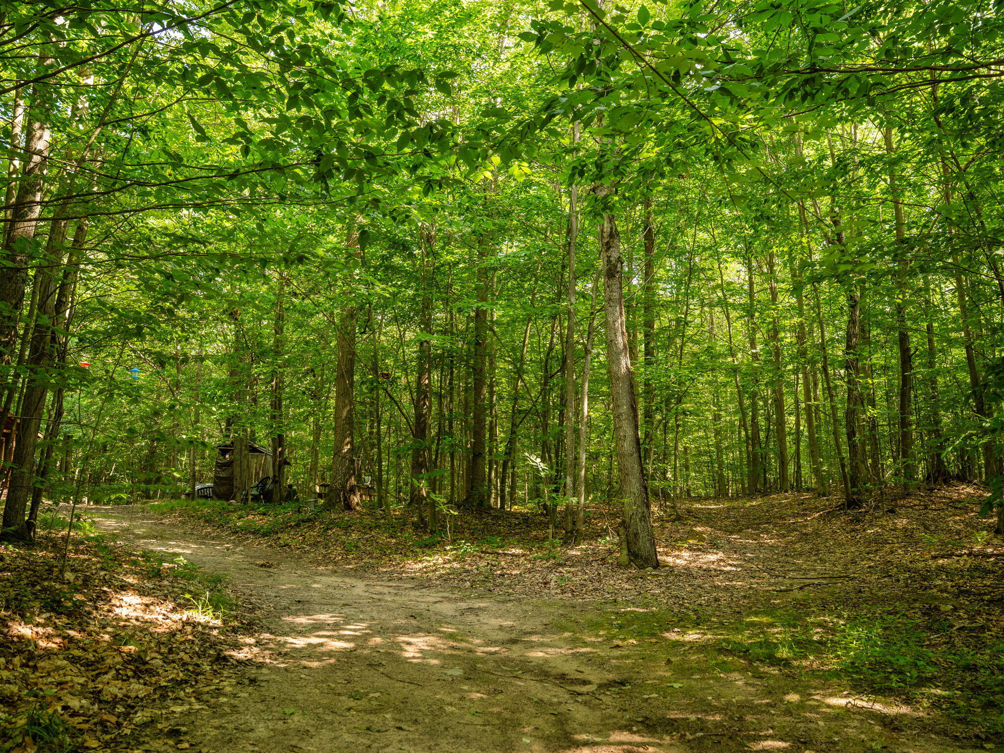 14739 9 Mile Road Property Photo 48