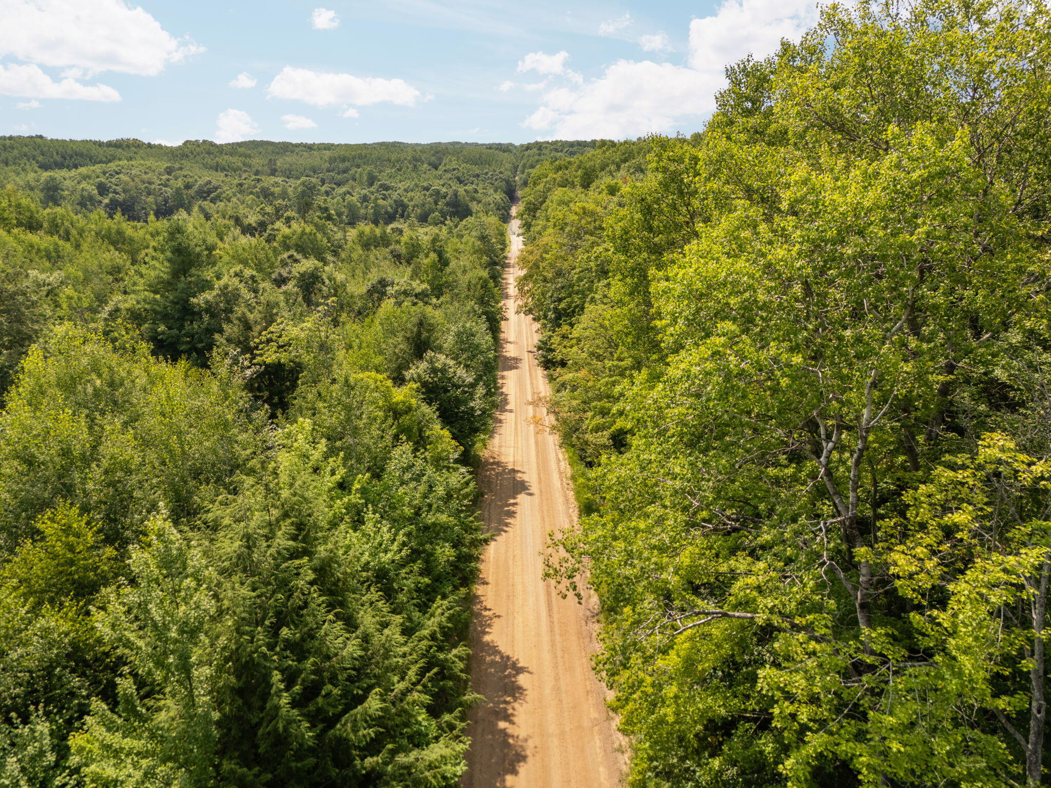 14739 9 Mile Road Property Photo 54