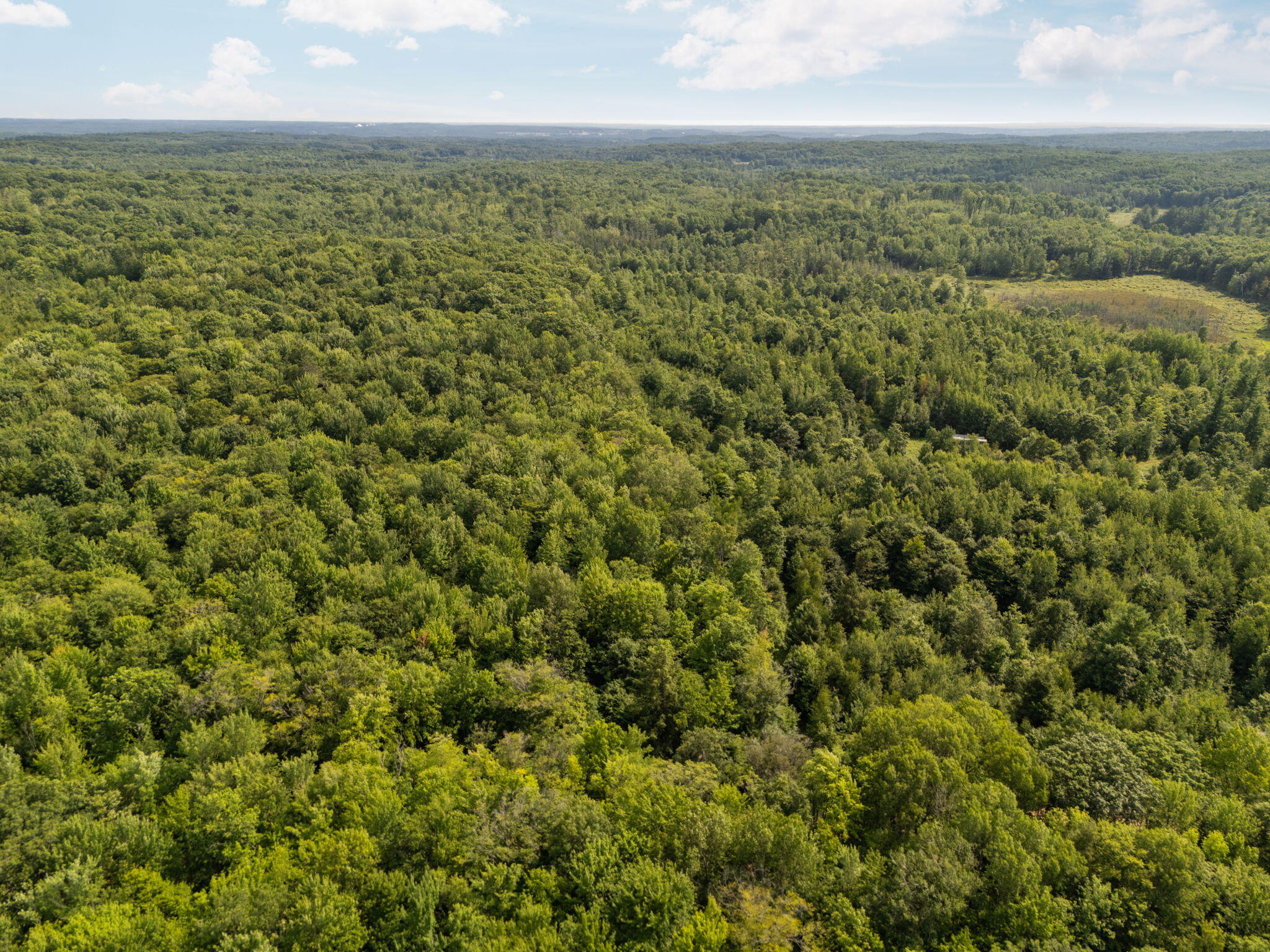 14739 9 Mile Road Property Photo 56