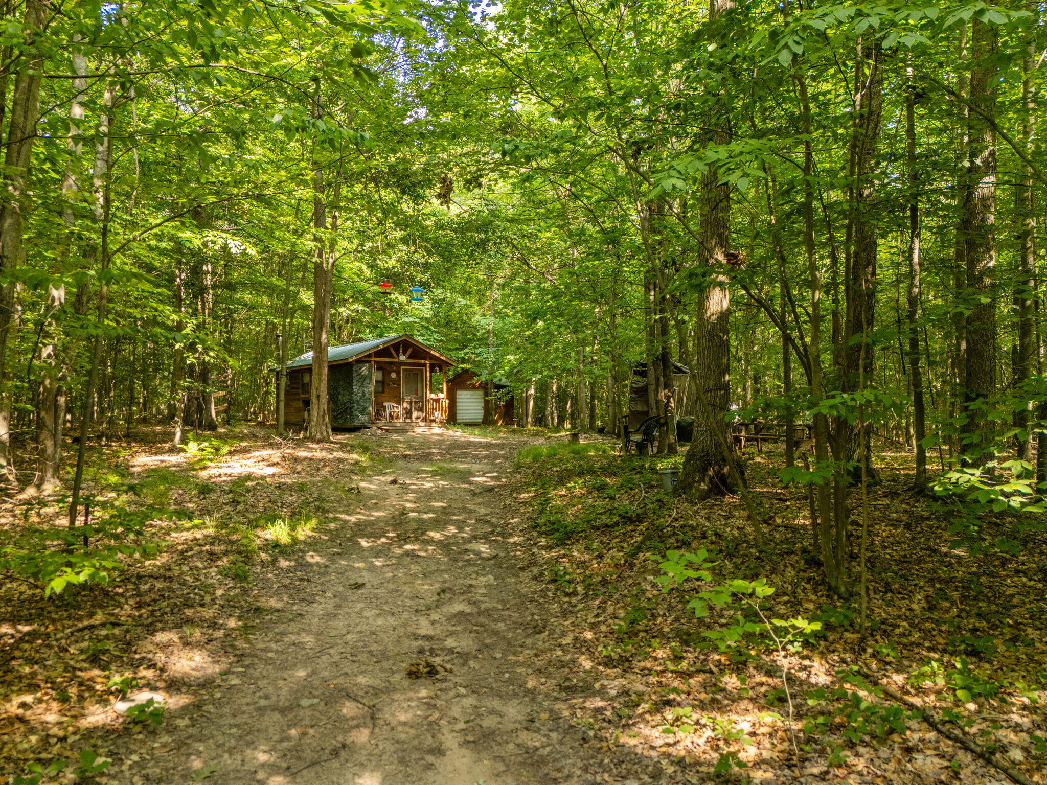 14739 9 Mile Road Property Photo 60