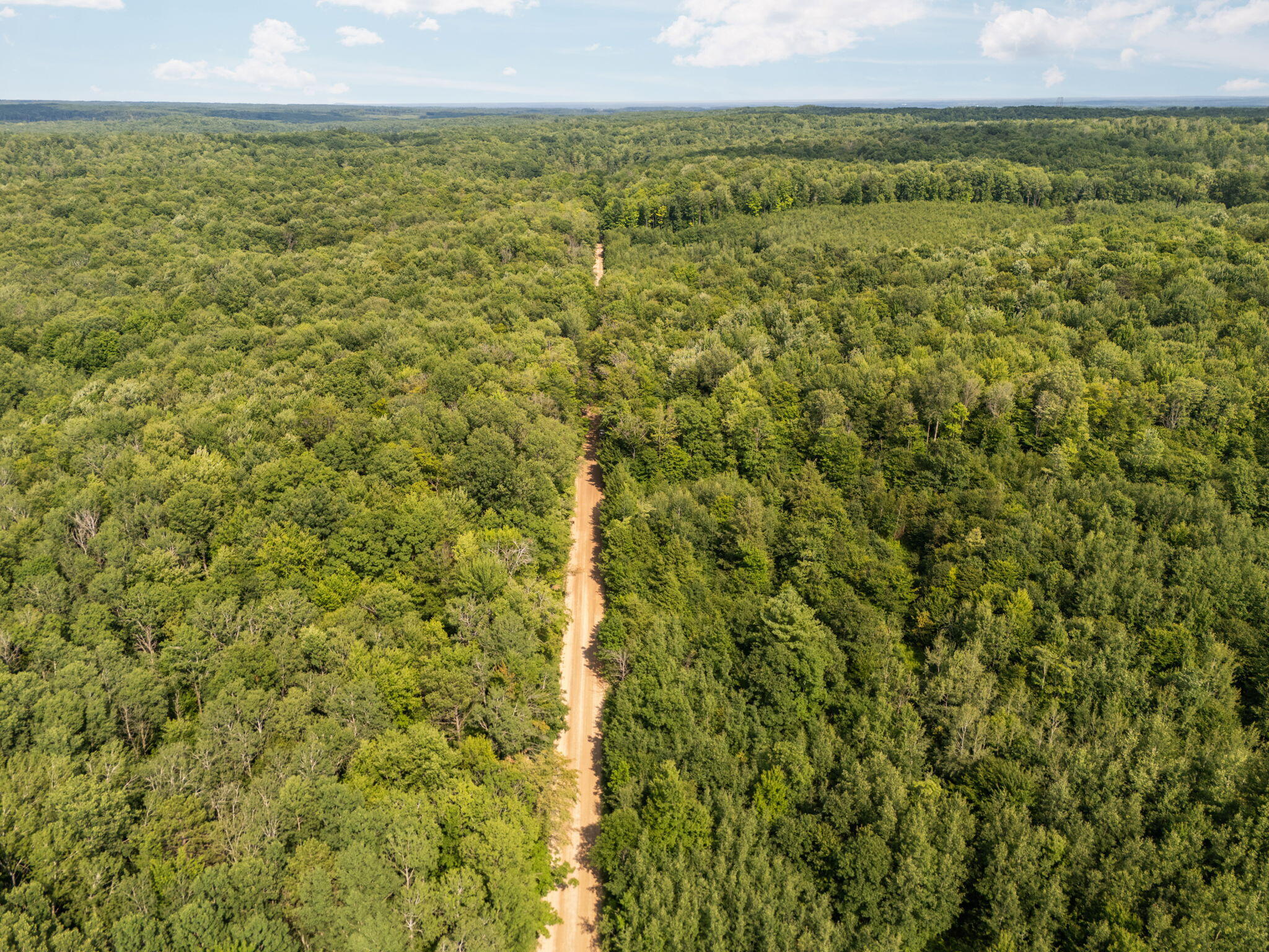 14739 9 Mile Road Property Photo 66