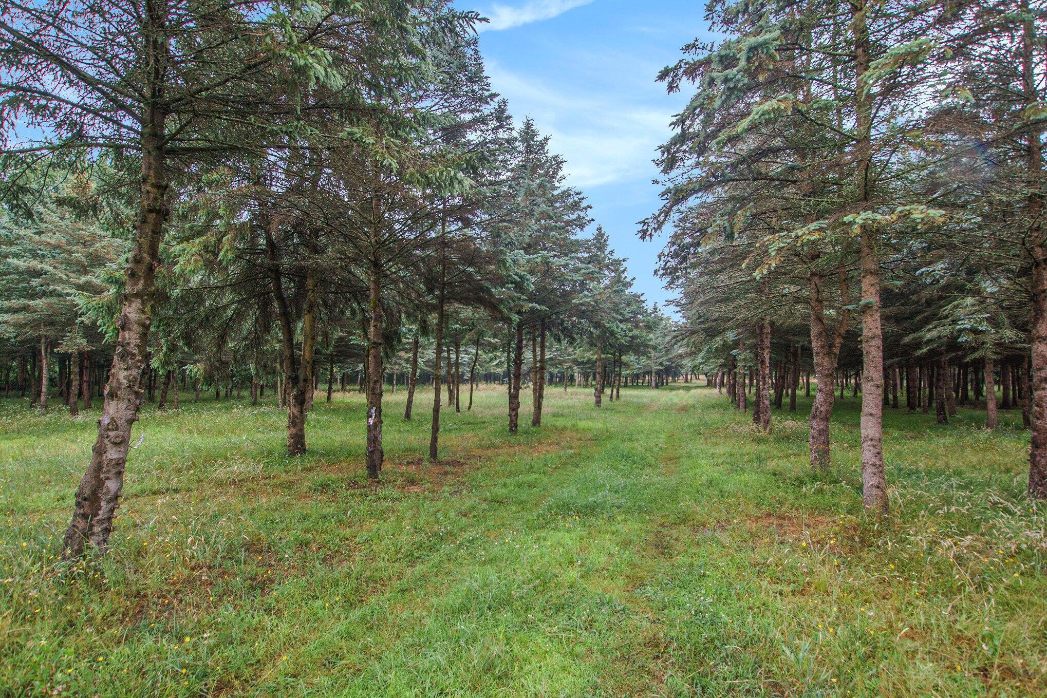 0 Desay Dr W Property Photo 1