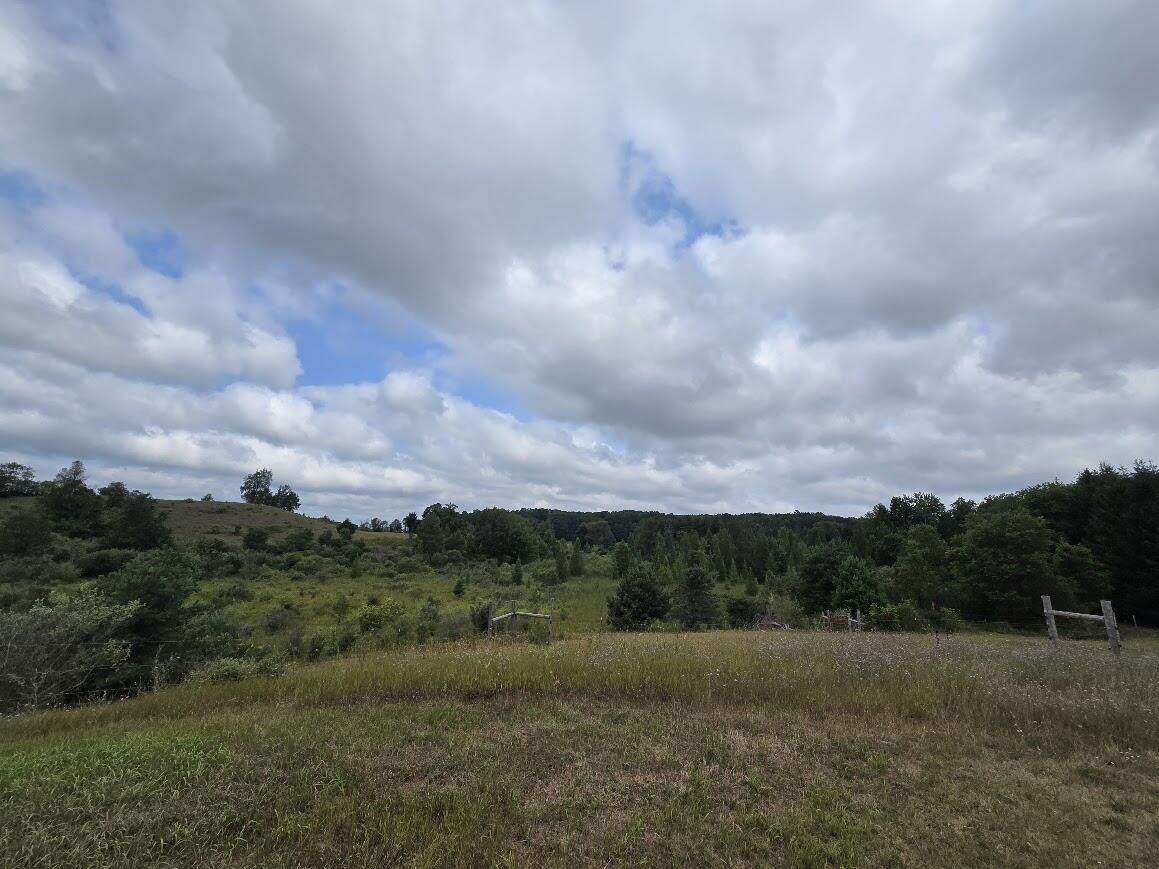 18634 Meceola Road Property Photo 41