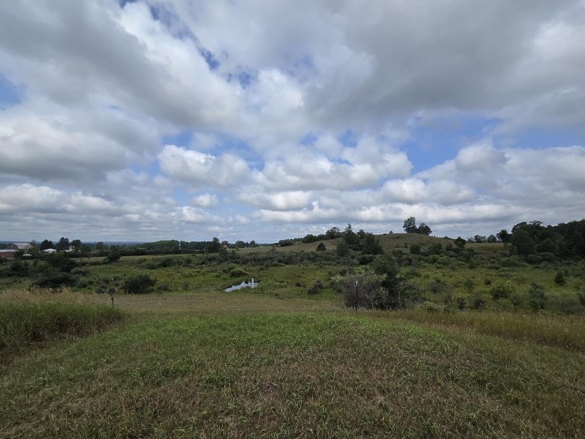 18634 Meceola Road Property Photo 43