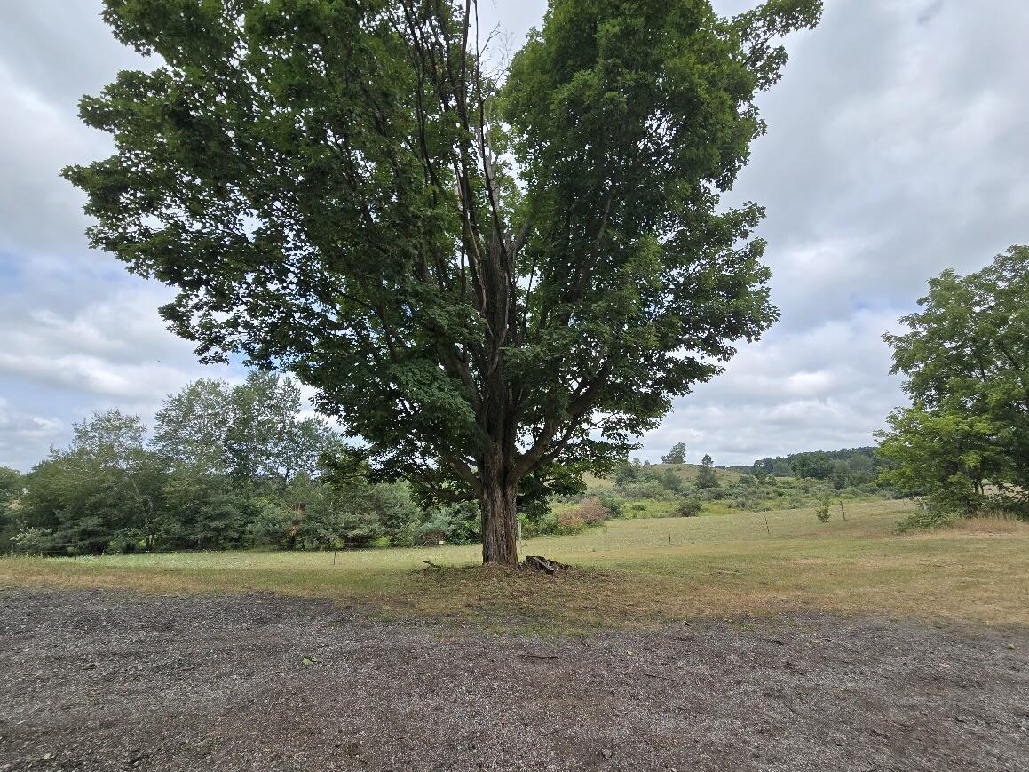 18634 Meceola Road Property Photo 45