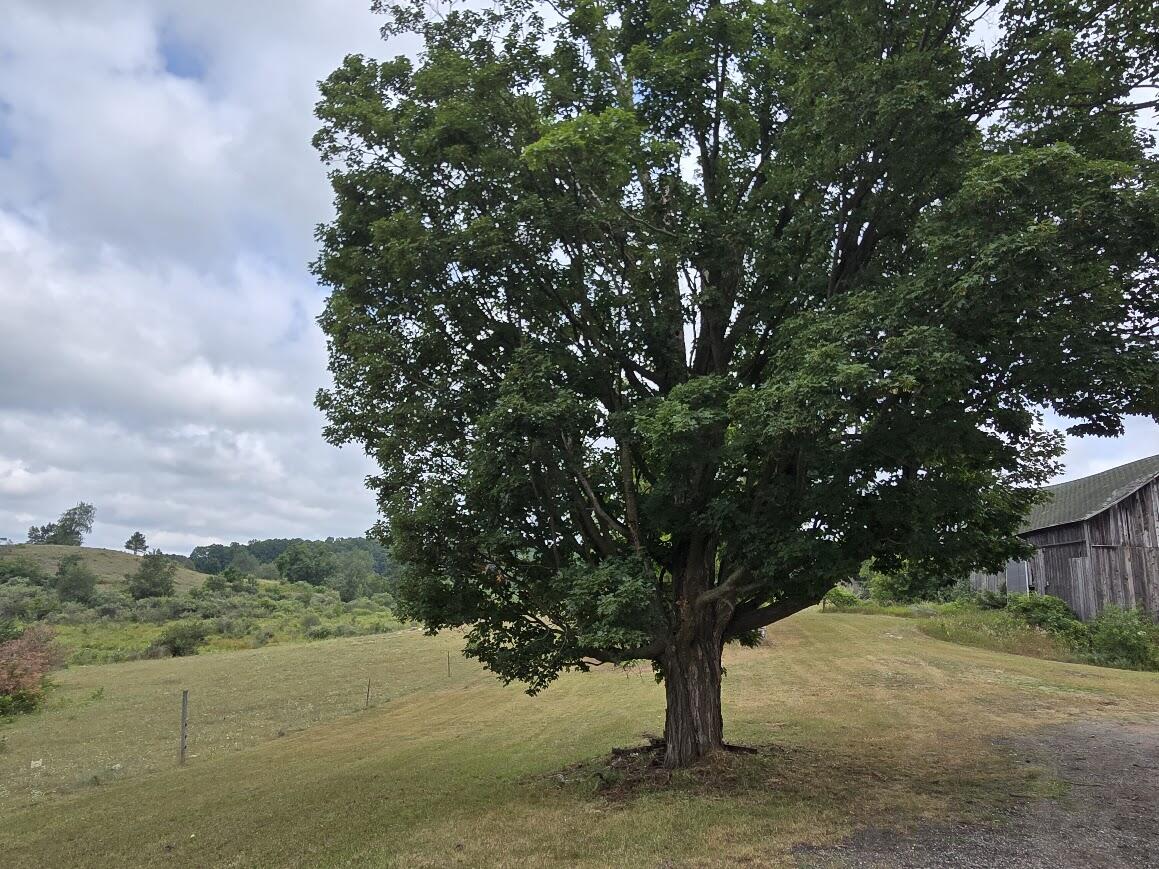 18634 Meceola Road Property Photo 49