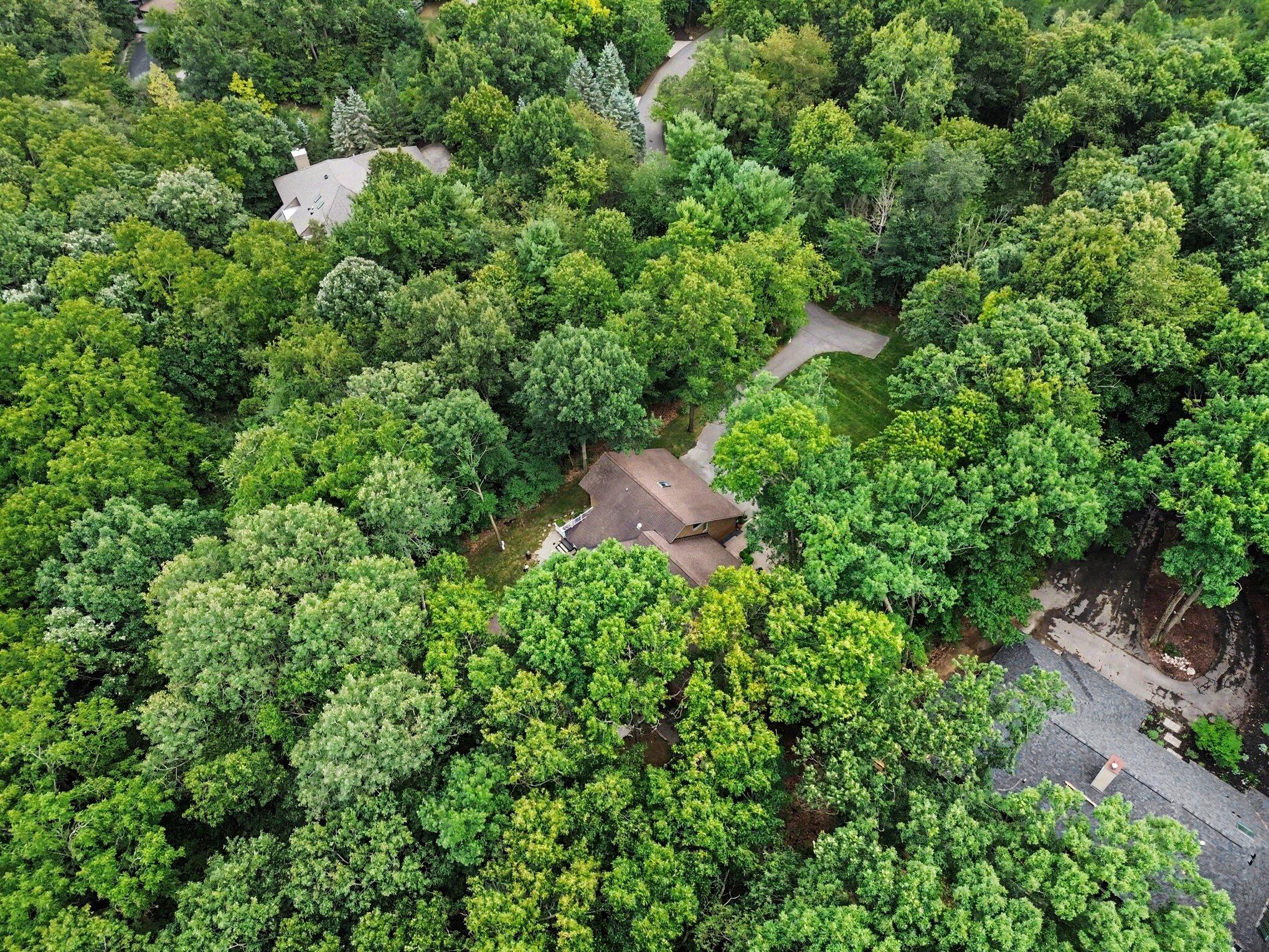 5315 Red Fox Run Property Photo 92