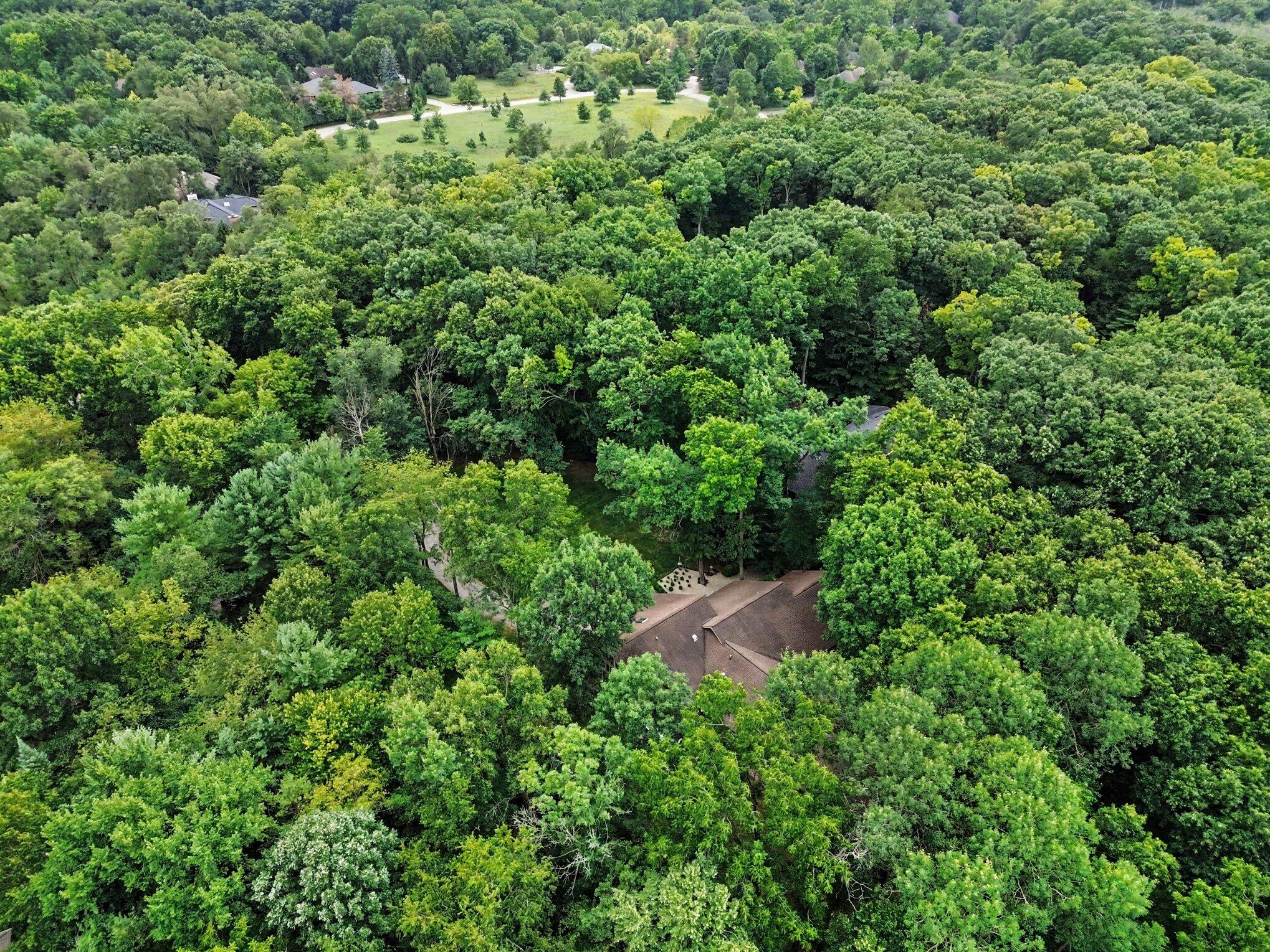 5315 Red Fox Run Property Photo 103