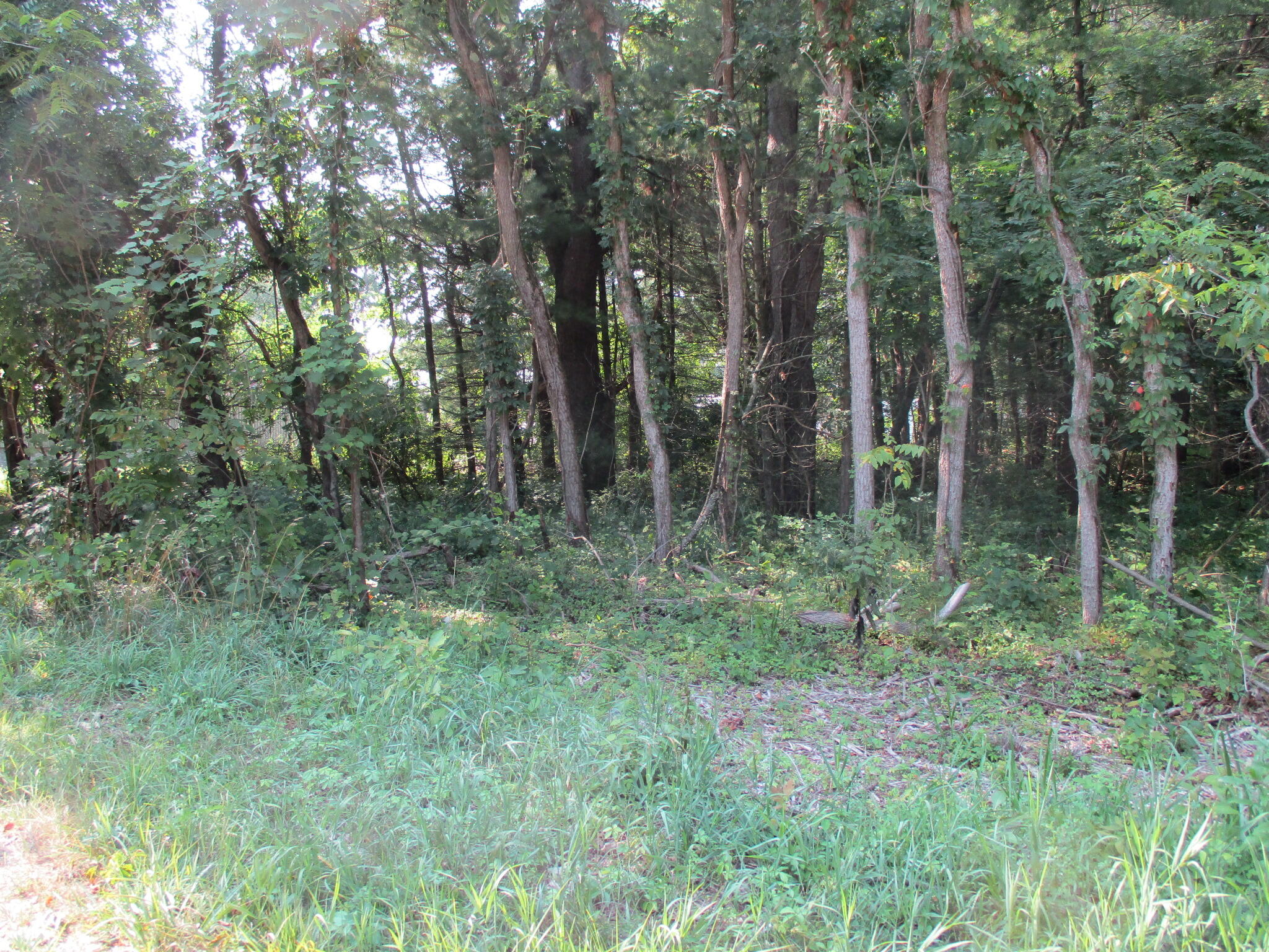 V/l 105th Avenue Parcel 05 Property Photo 3