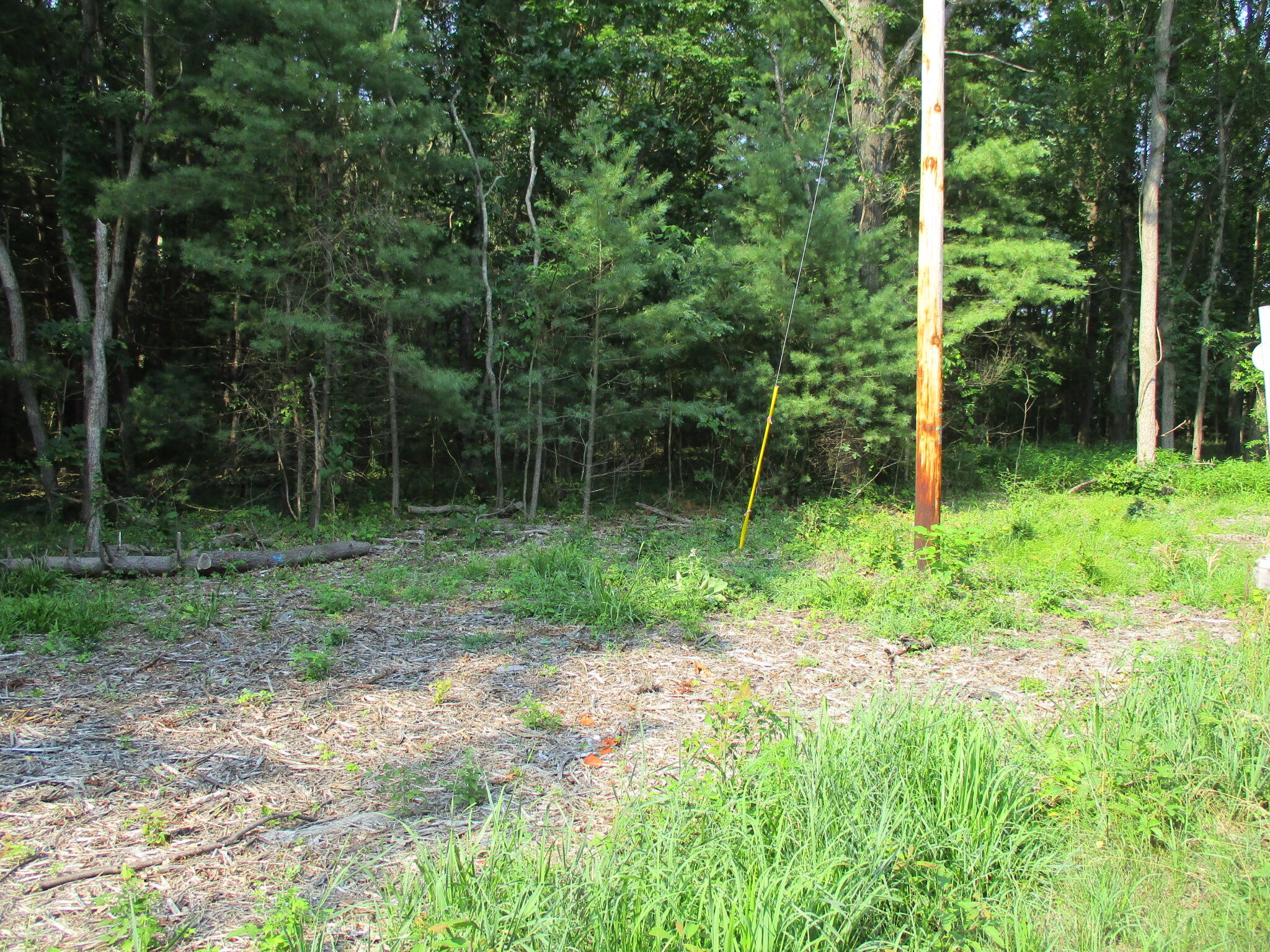 V/l 105th Avenue Parcel 05 Property Photo 4