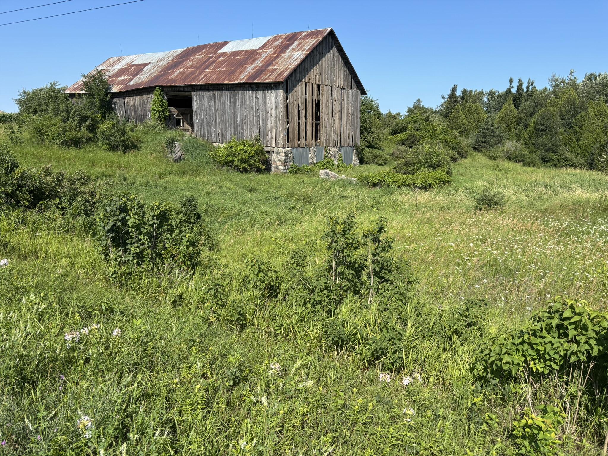 Co Rd 441 Property Photo 5