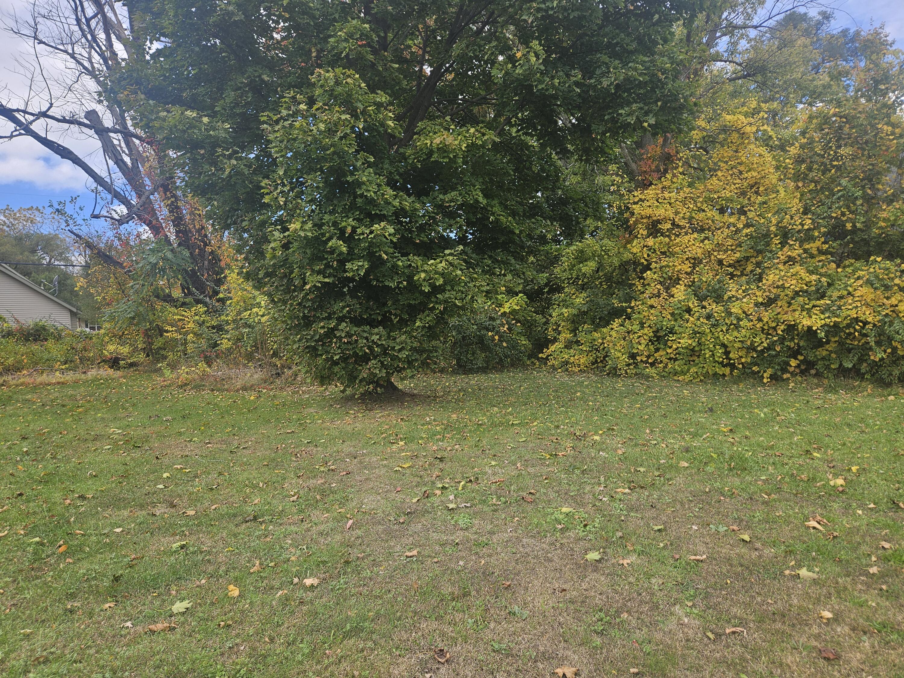 238 Pine Street Property Photo 6