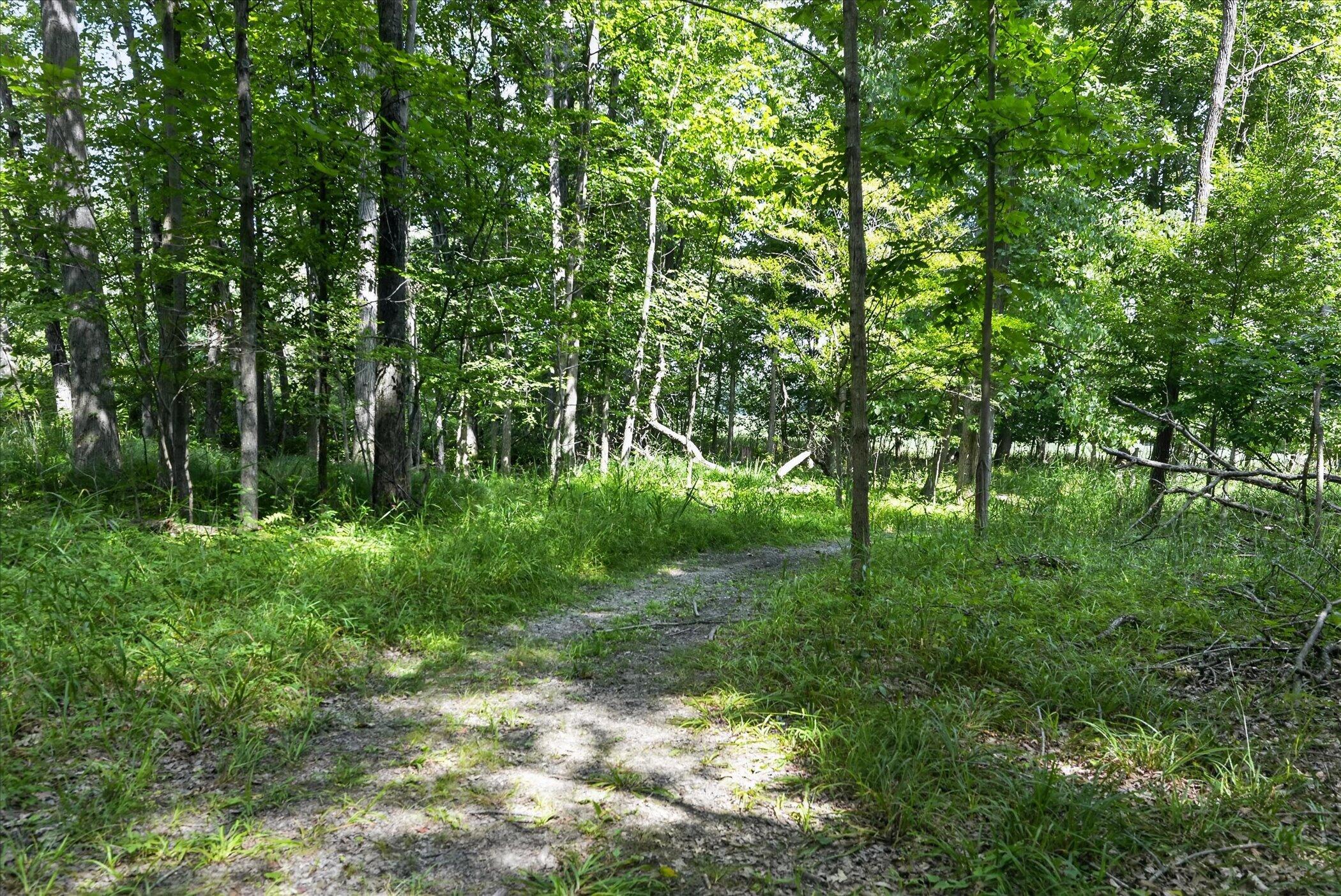 8235 E Jason Road Property Photo 52