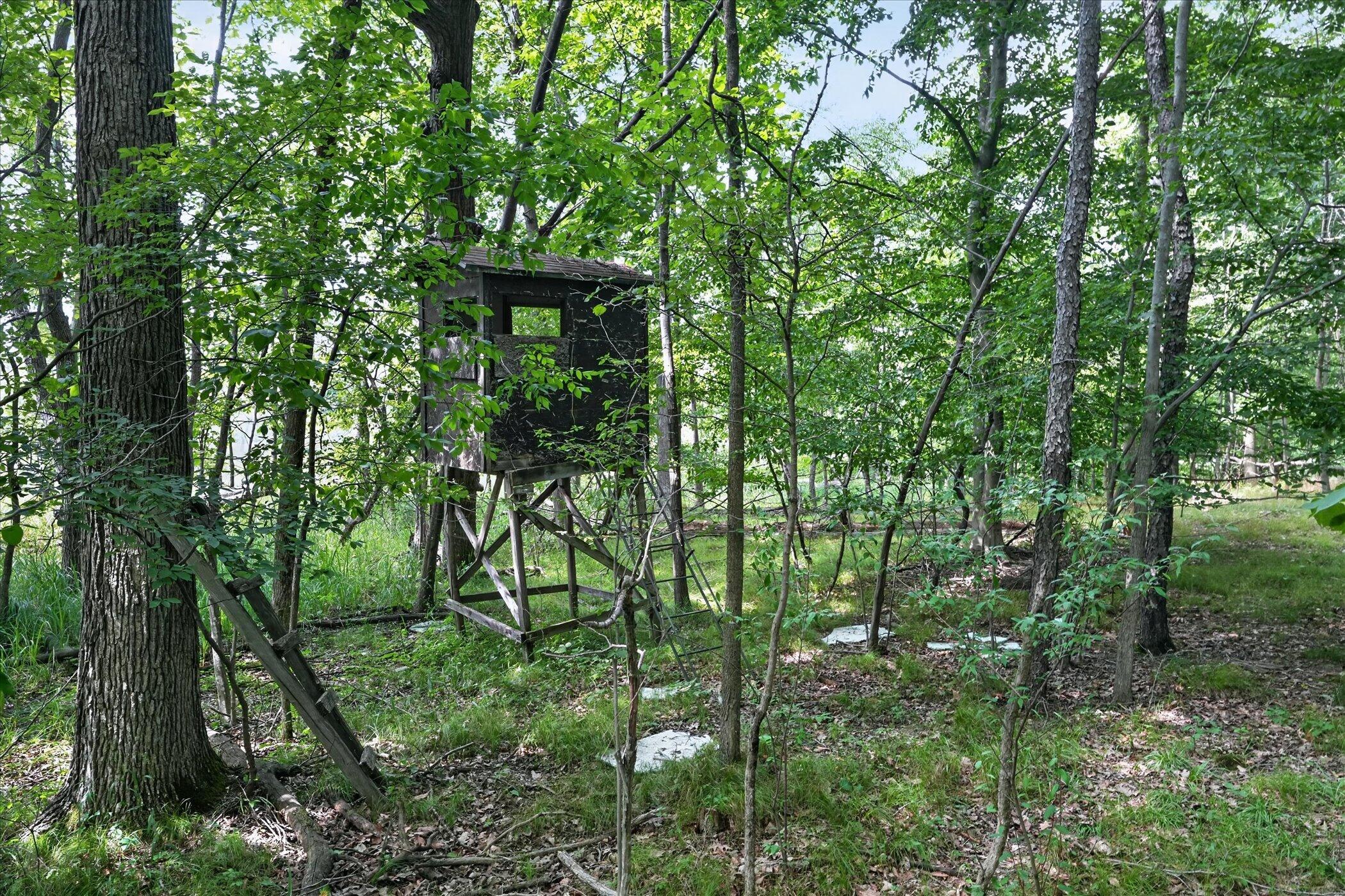 8235 E Jason Road Property Photo 53