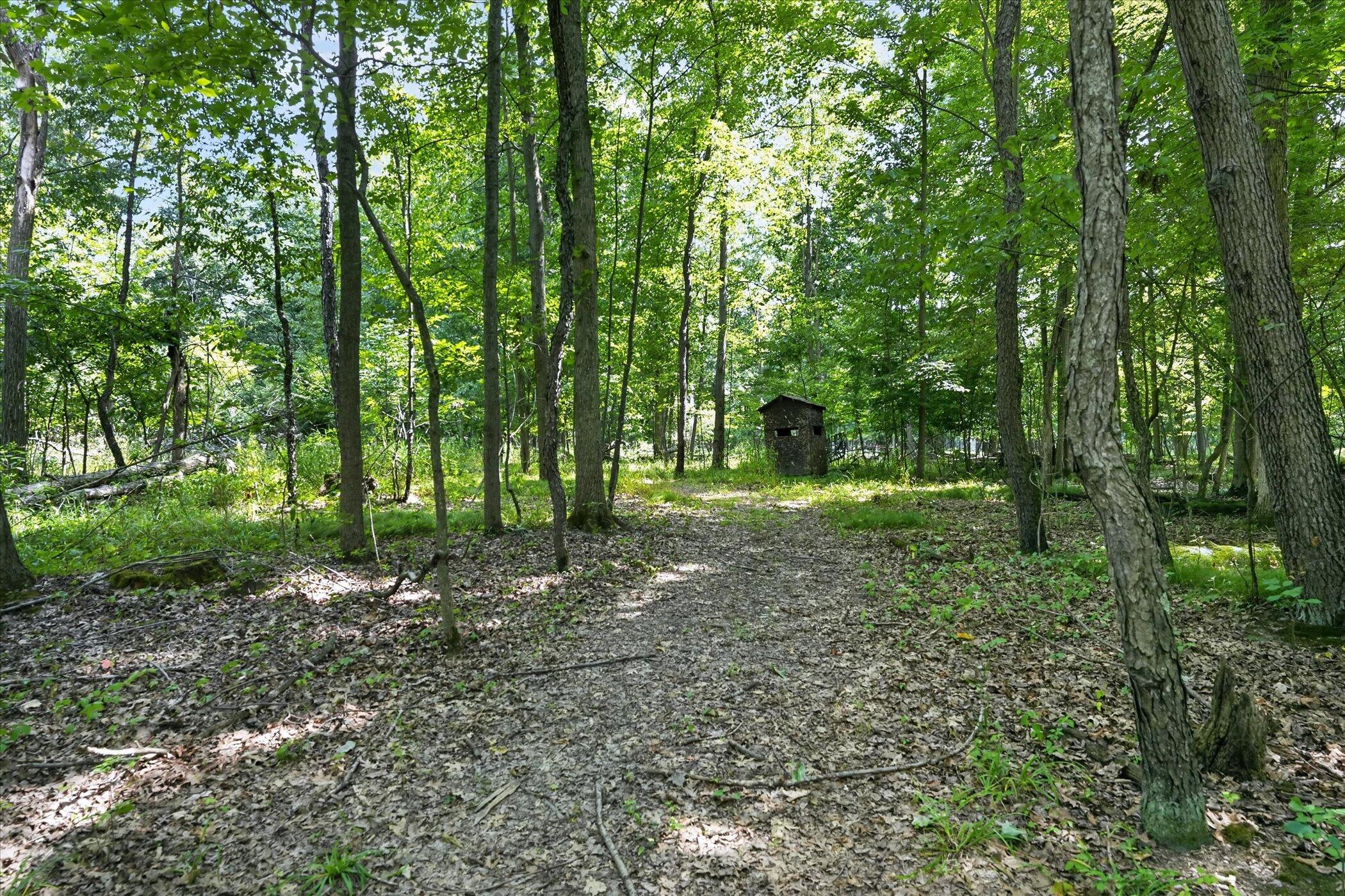 8235 E Jason Road Property Photo 54