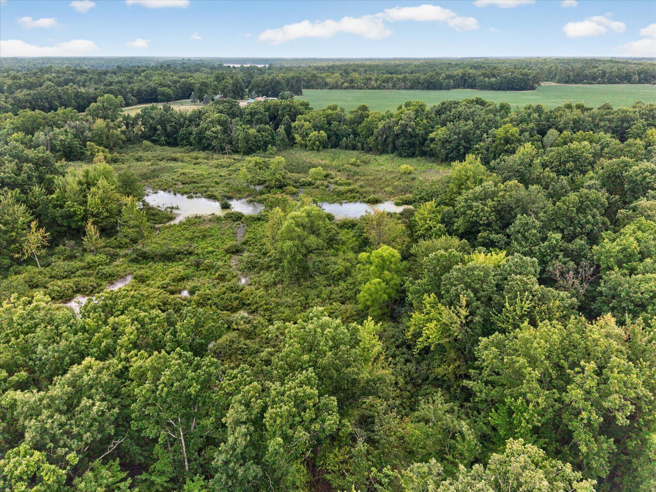 8235 E Jason Road Property Photo 61
