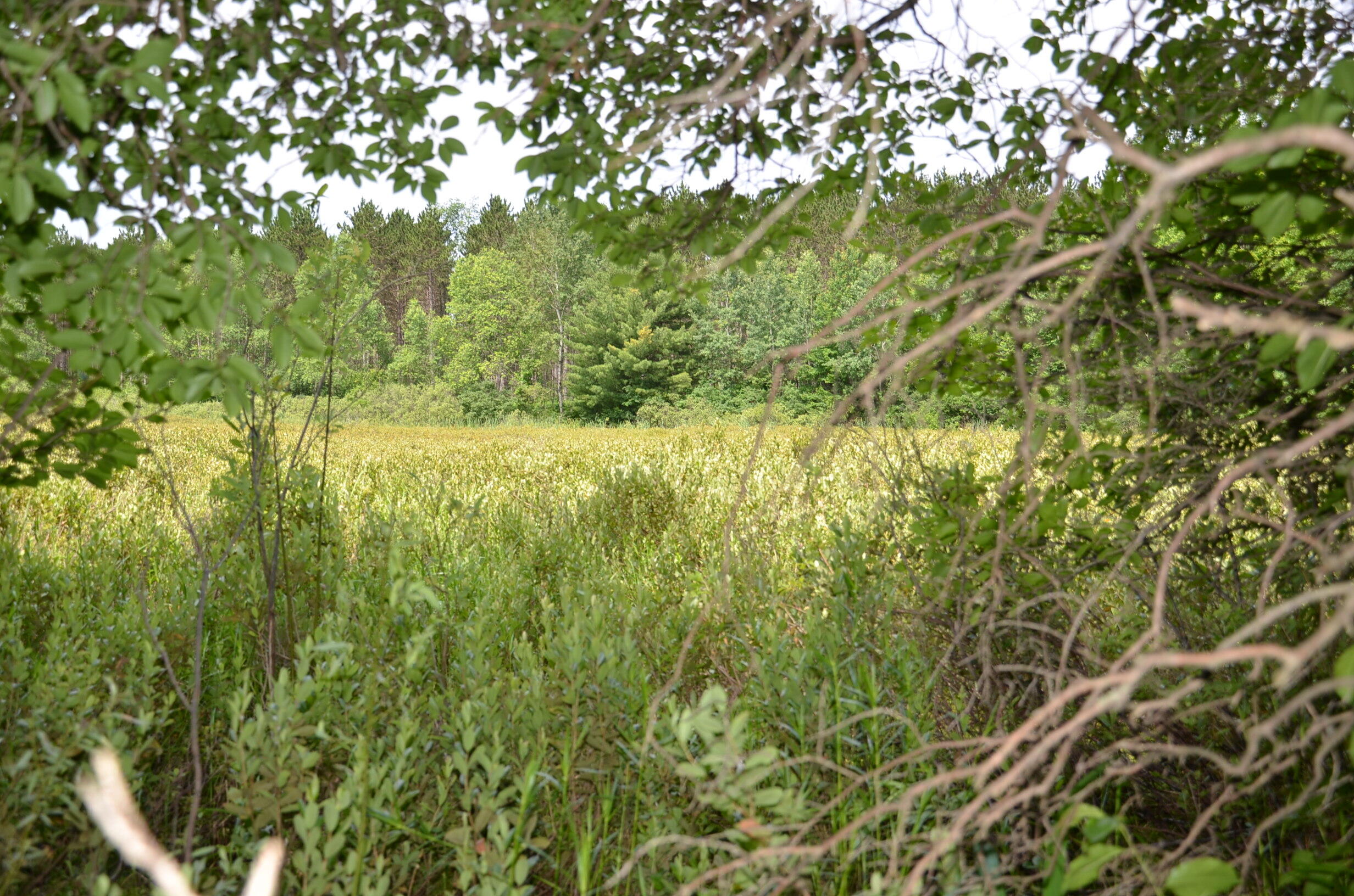 Marsh Road Property Photo 3