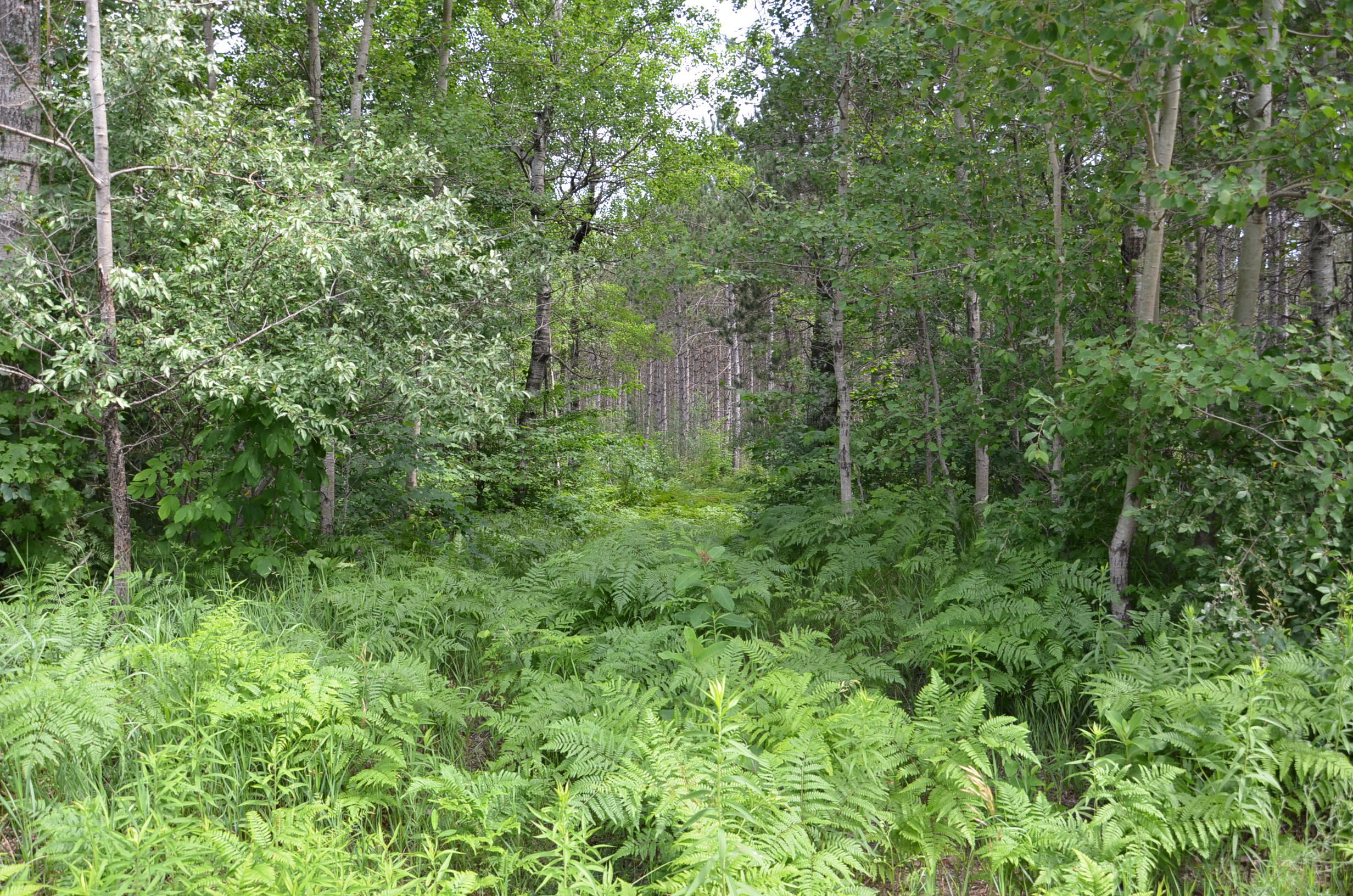 Marsh Road Property Photo 5