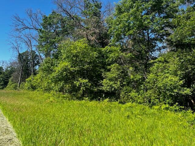 Parcel 1 M-37 Property Photo 4