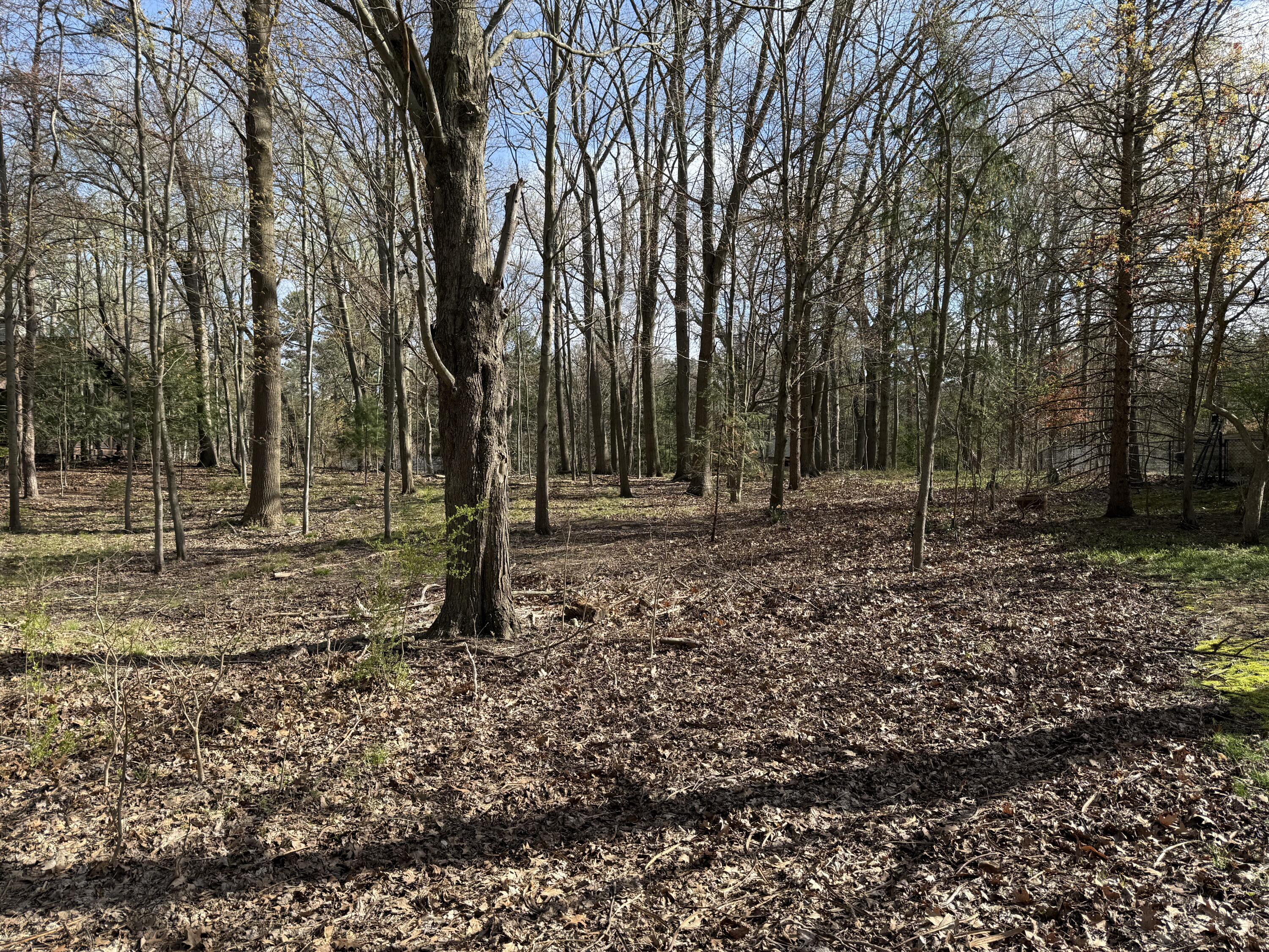 Abc Greenbush Road Property Photo 1