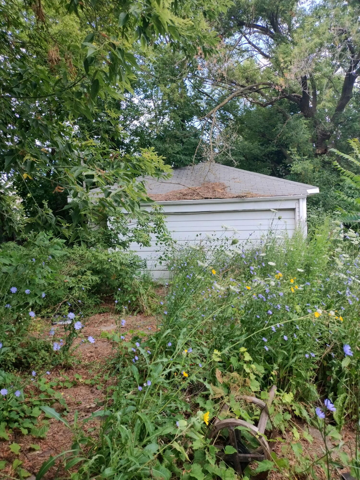 2202 Swayze Street Property Photo 3