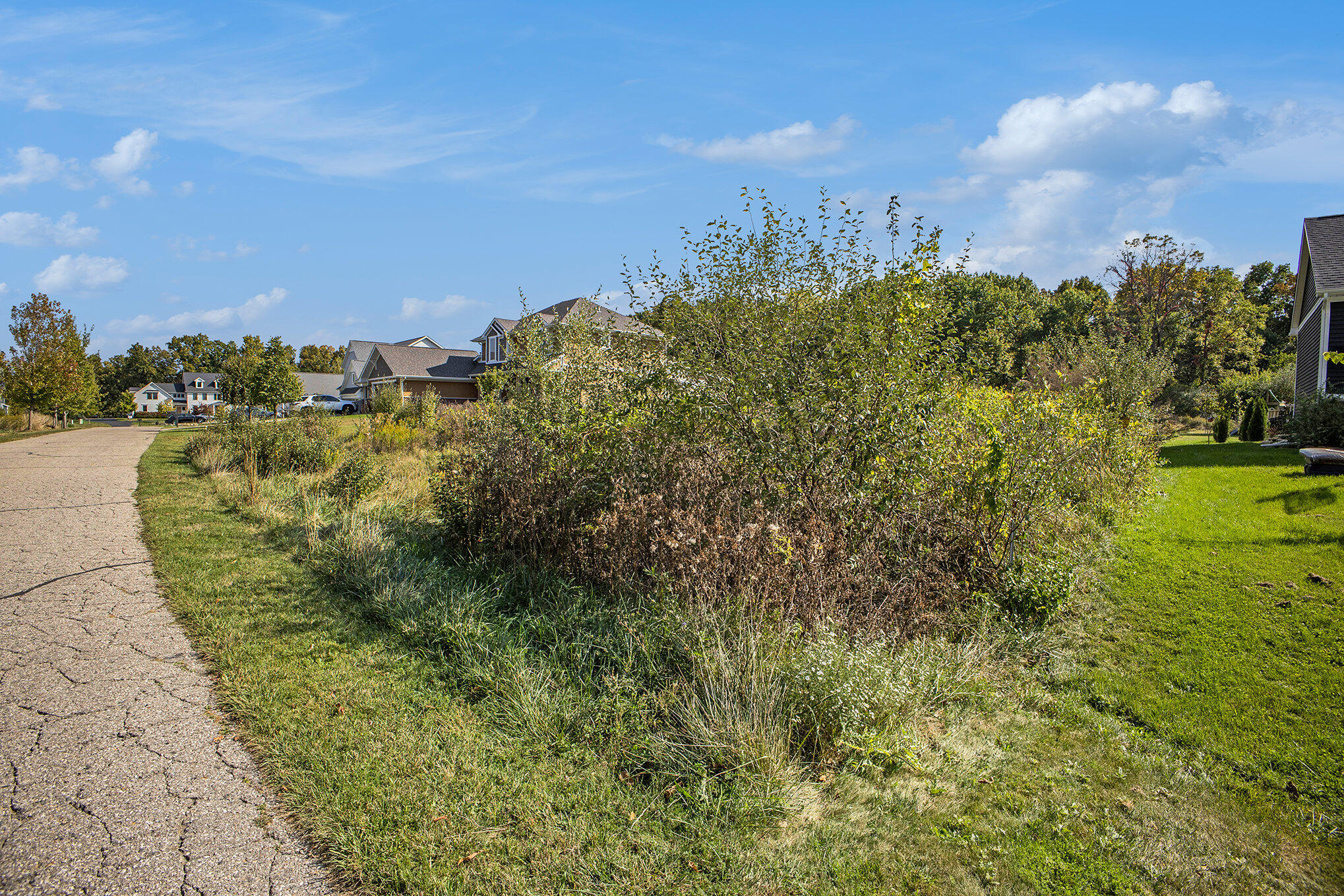 5824 Trail Side Lane Property Photo 7