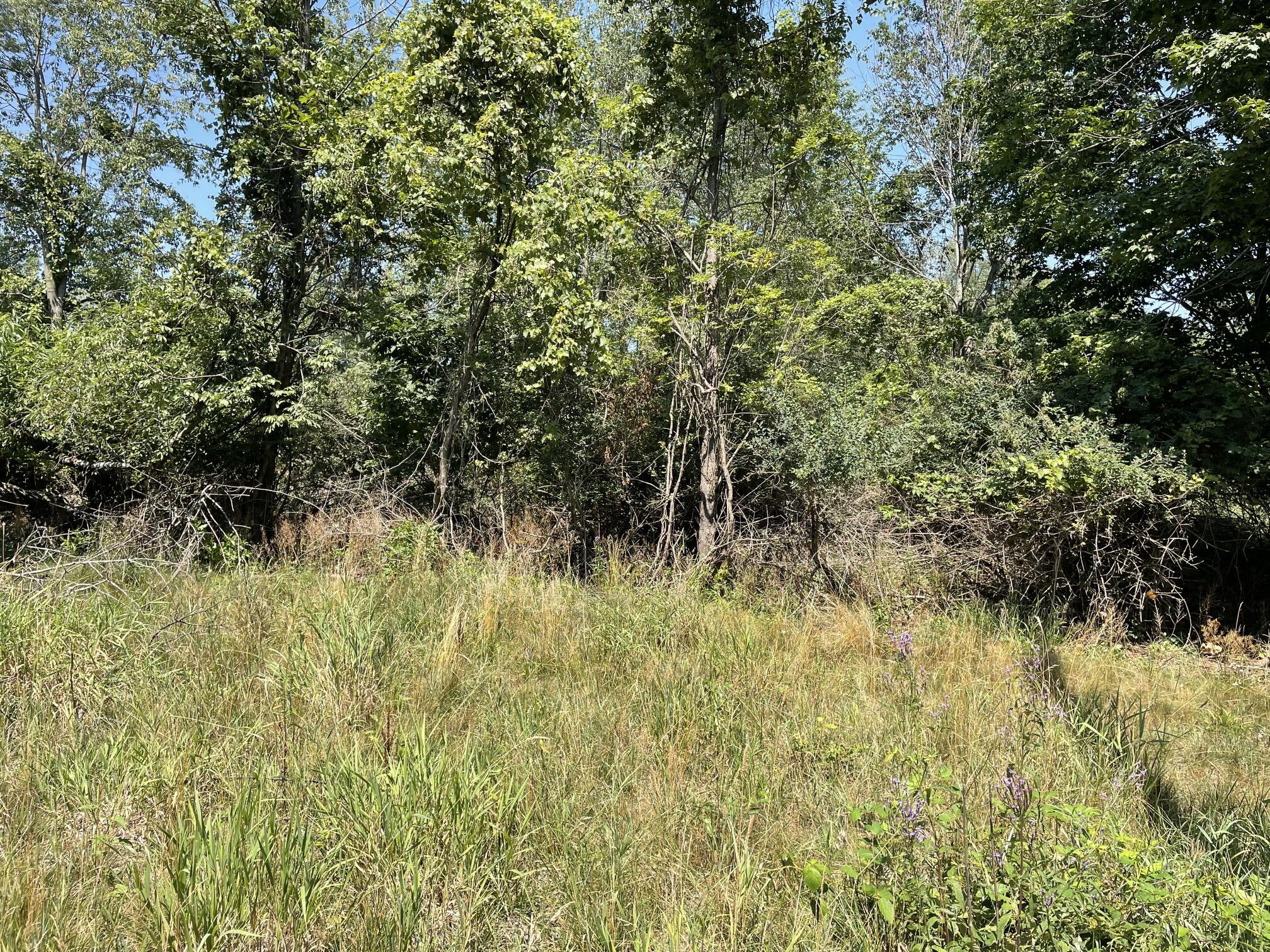 6893 Wiley Road Property Photo 1
