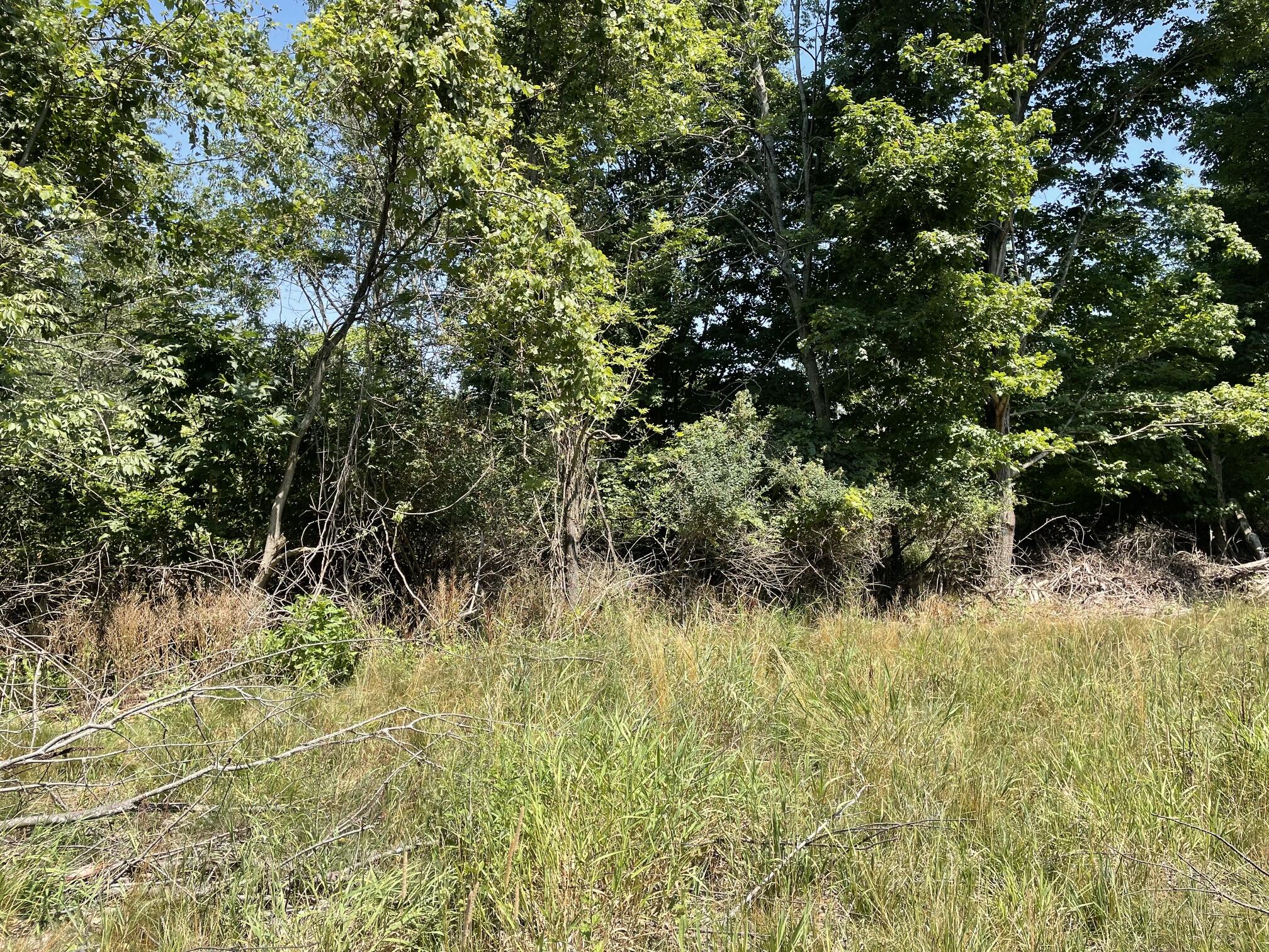 6893 Wiley Road Property Photo 2