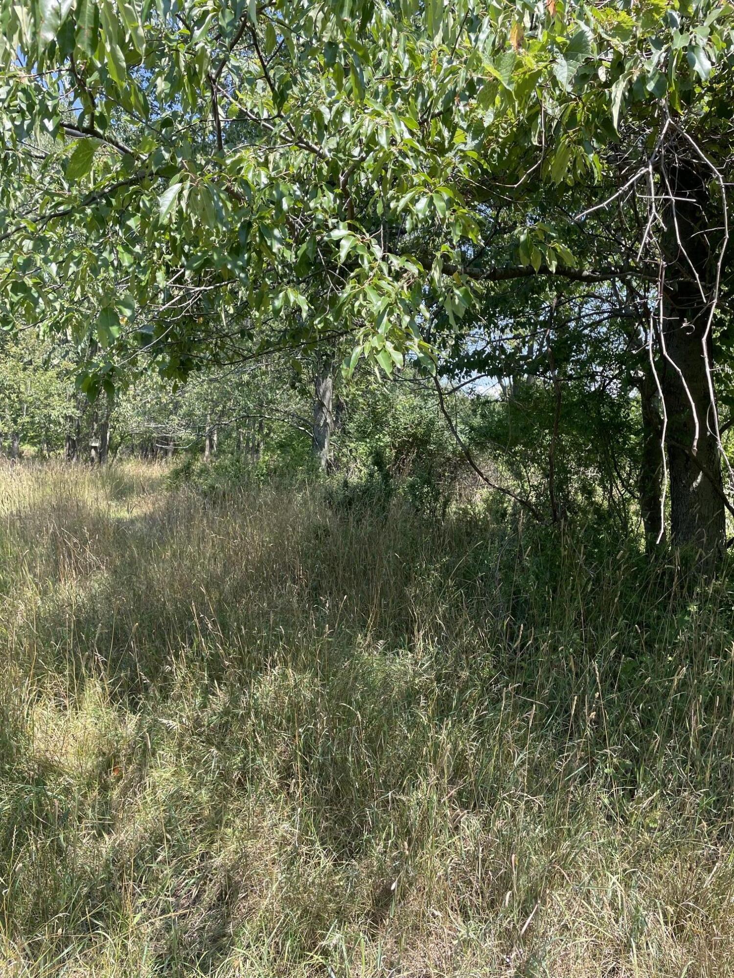 6893 Wiley Road Property Photo 3
